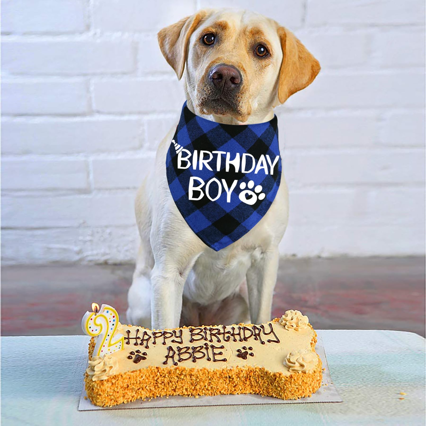 Stmk Dog Birthday Bandana, Multi Sizes Dog Birthday Boy Bandana For Small Medium Large Dogs Pets (Large, Blue)