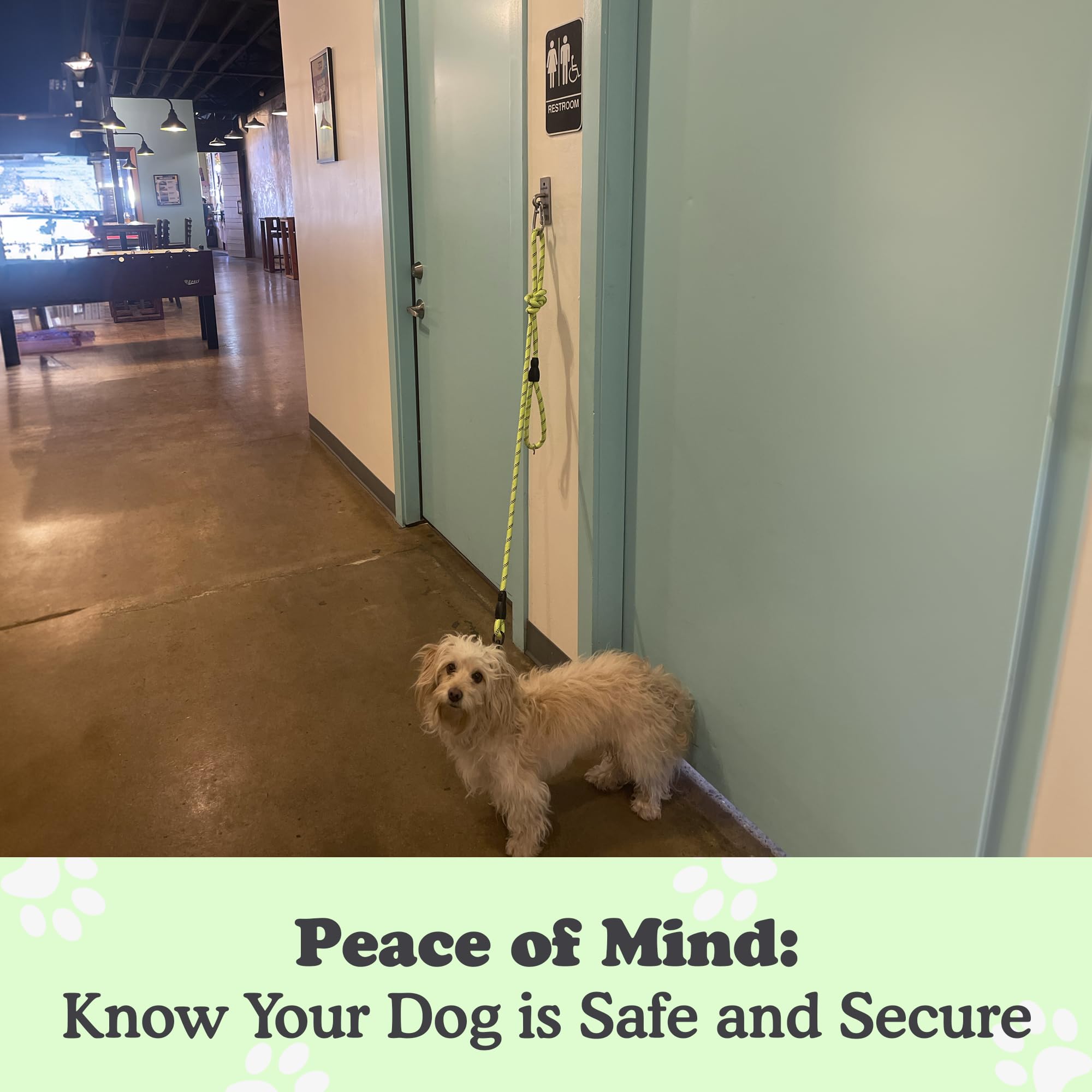 Canine Hitch- Secure Dog Leash Parking Indoor- Outdoor Wall Hook With Clip - Tie Out Stainless Steel - Practical Lead Management