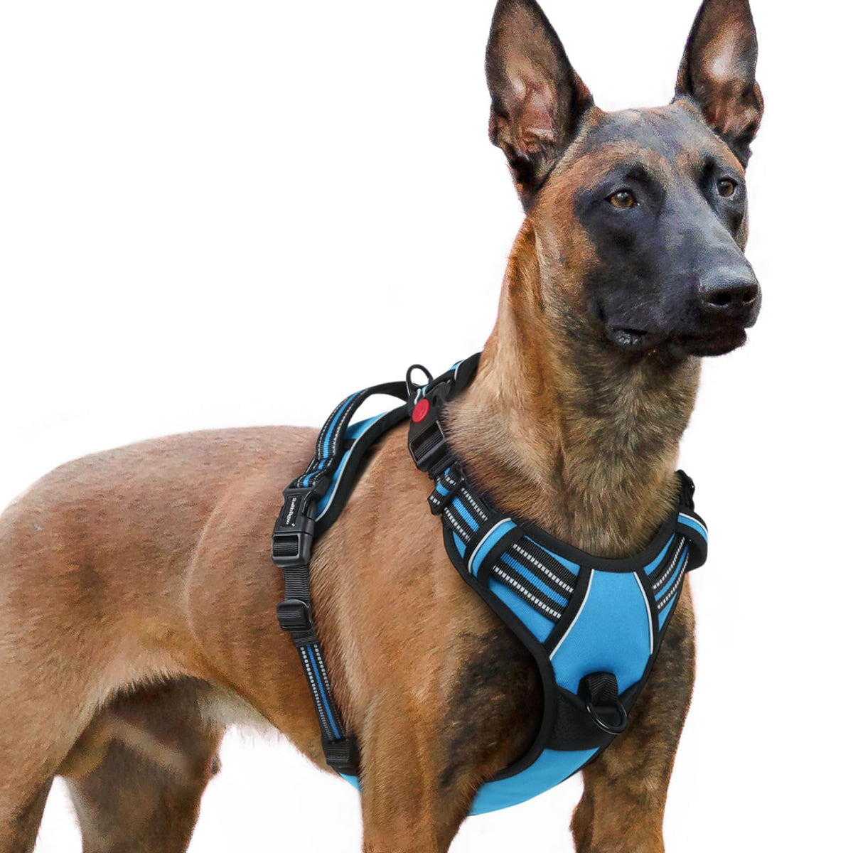 Rabbitgoo Dog Harness For Large, No Pull Pet Harness With 3 Buckles, Adjustable Soft Padded Pooch Vest With Instant Control Handle, Easy Walking Reflective Pet Vest For Extra Large Dogs, Sky Blue, Xl