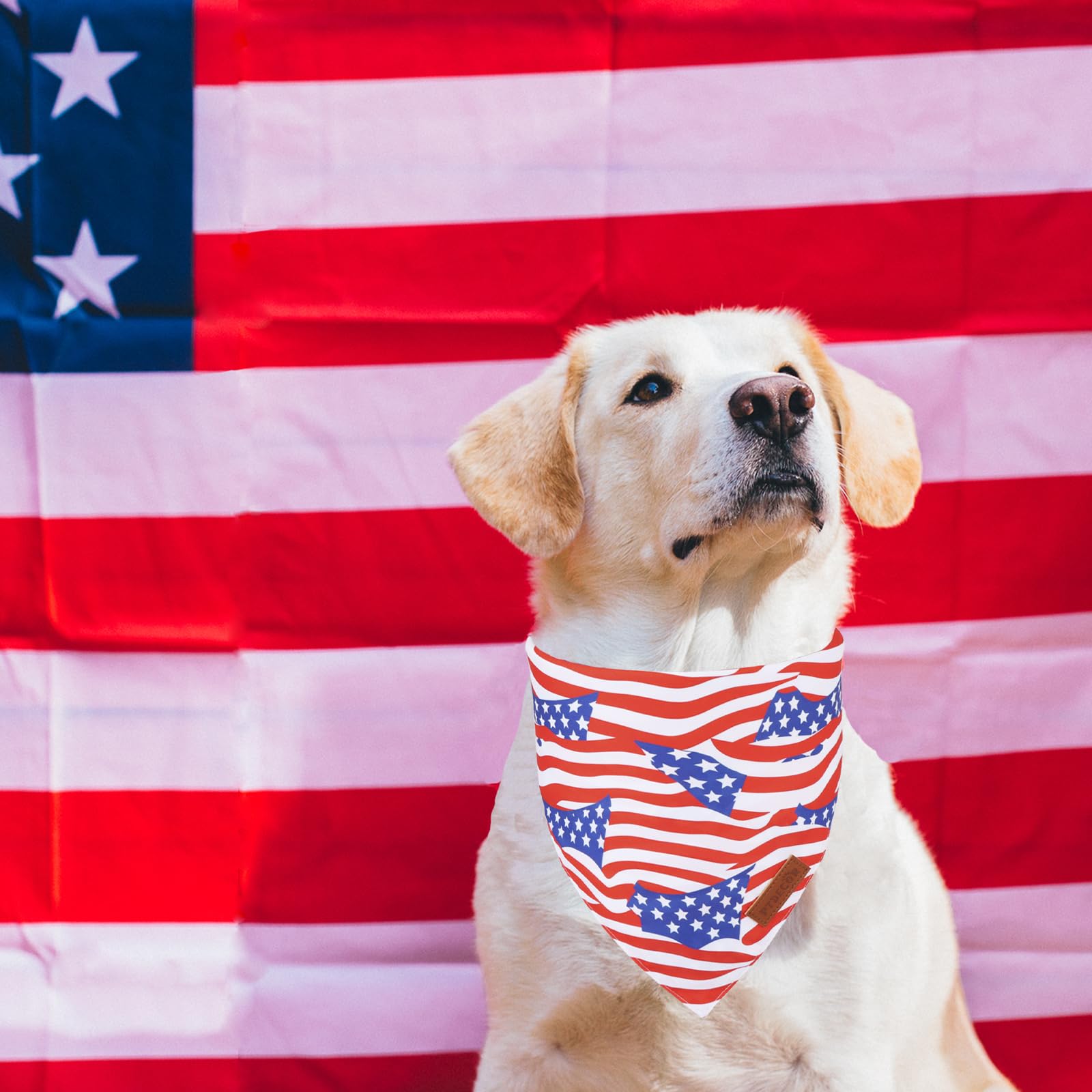 Ptdecor American Flag Dog Bandana 4Th Of July Dog Scarf Reversible Red Blue Patriotic Bandanas For Medium Large Dogs Pets (Blue