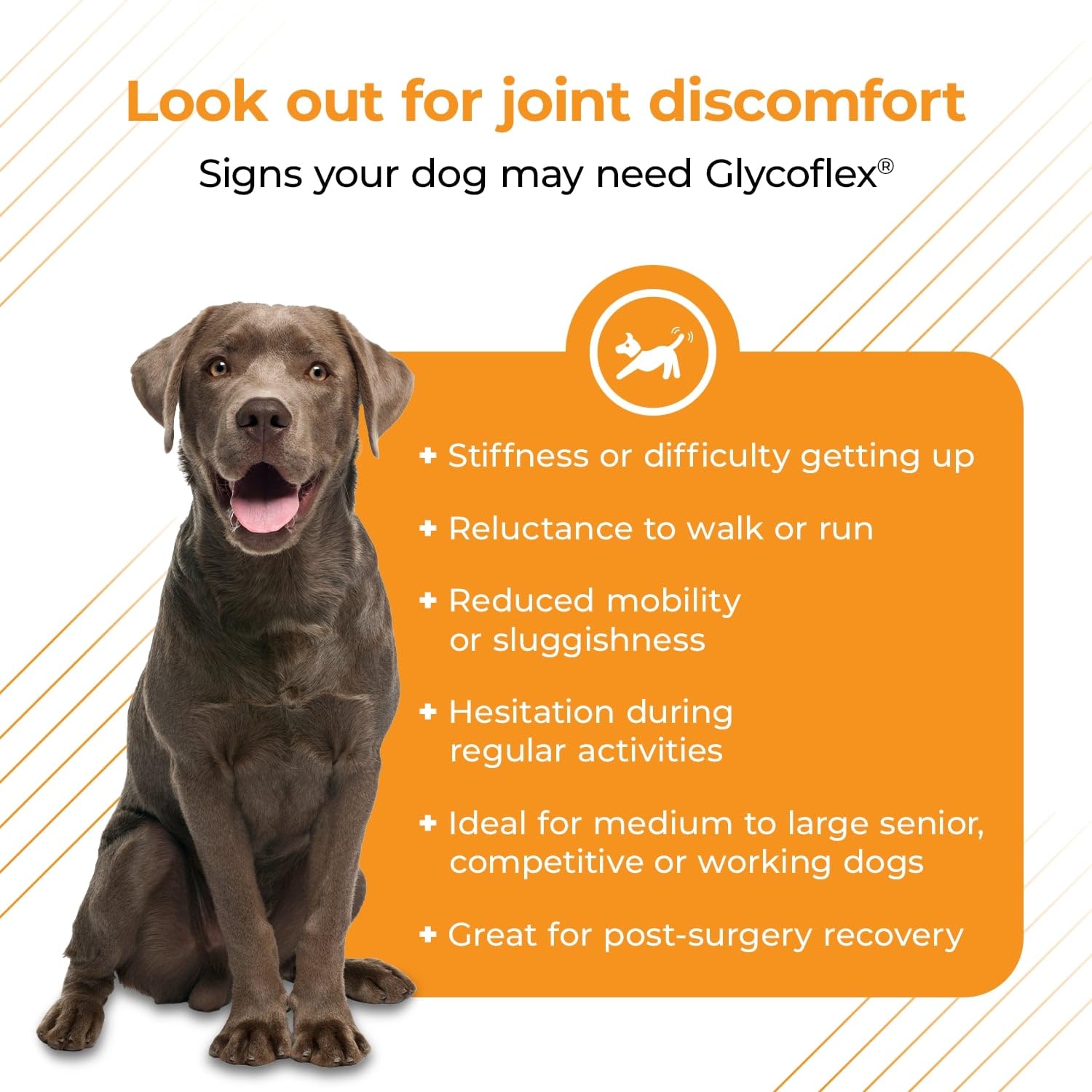 VETRISCIENCE GlycoFlex Plus Joint Support Chews for Dogs - Extra-Strength, 120 Count, with Green Lipped Mussel, Chondroitin, Glucosamine