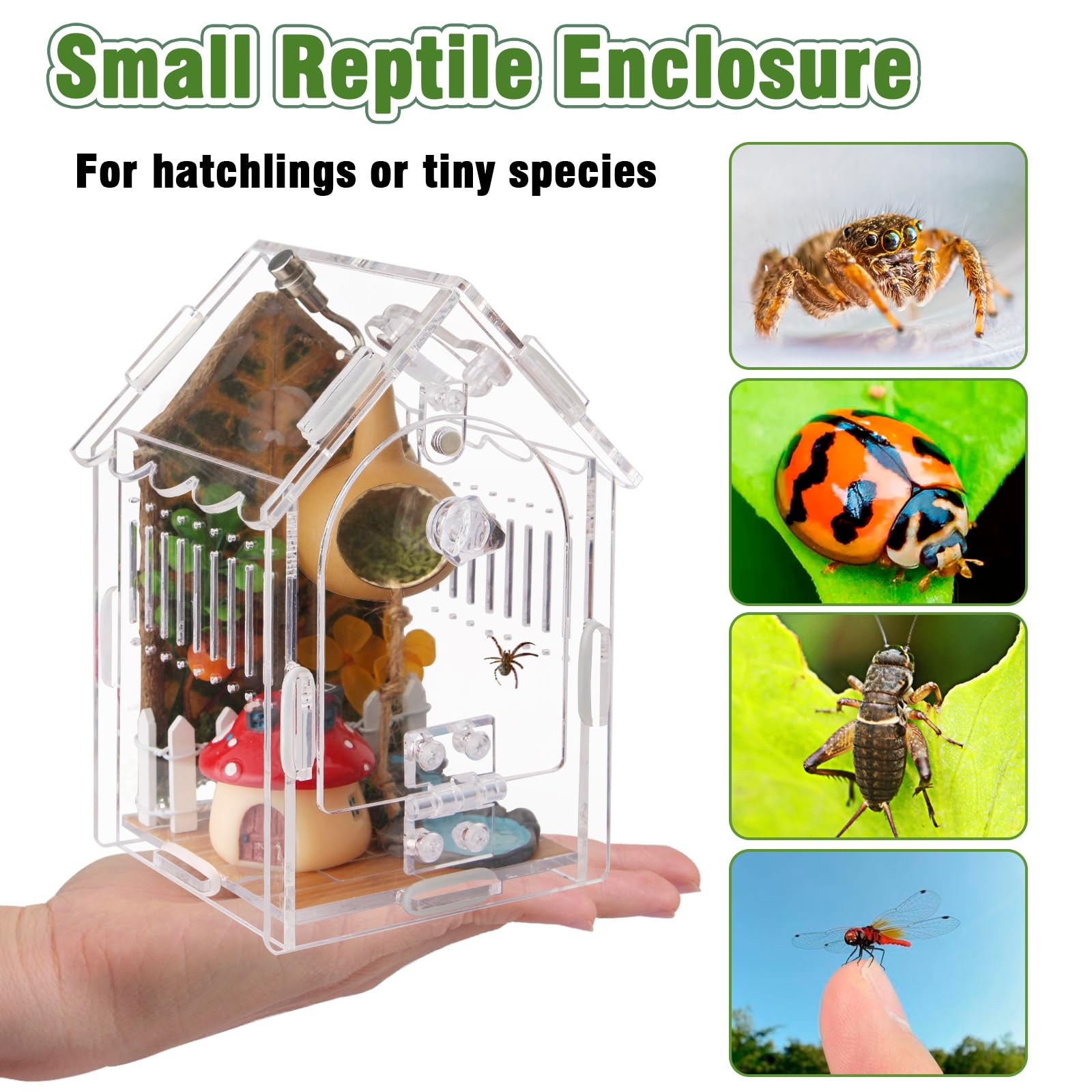 Jumping Spider Enclosure - Internal Dimensions 3.15x3.15x5.6 Acrylic Terrarium Kit for Tarantulas/Mantis/Reptiles with Magnetic