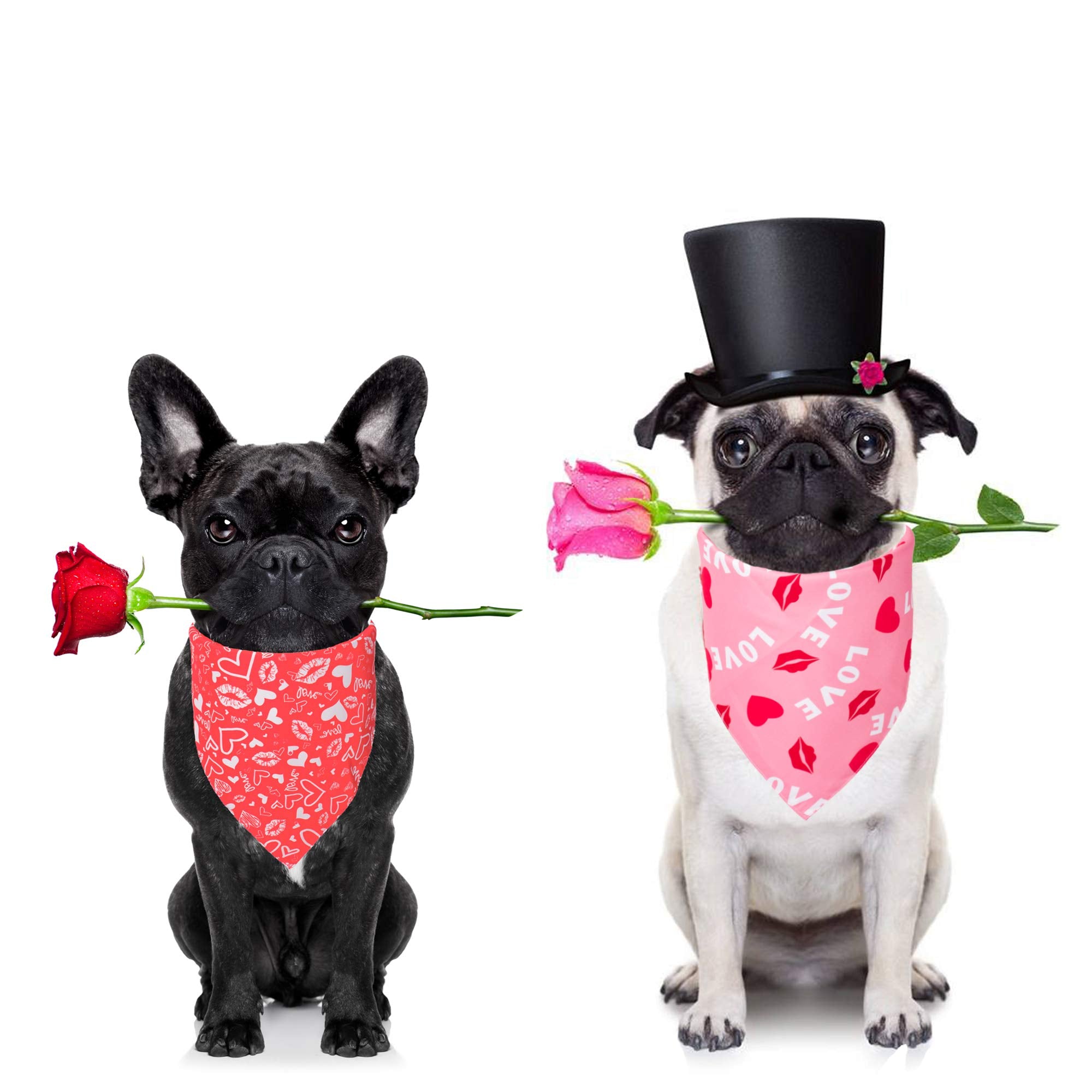 ADOGGYGO Valentine Dog Bandana, Multiple Sizes Offered, Reversible Triangle Dog Scarf Pet Bandana for Large X-Large Dogs (X-Larg