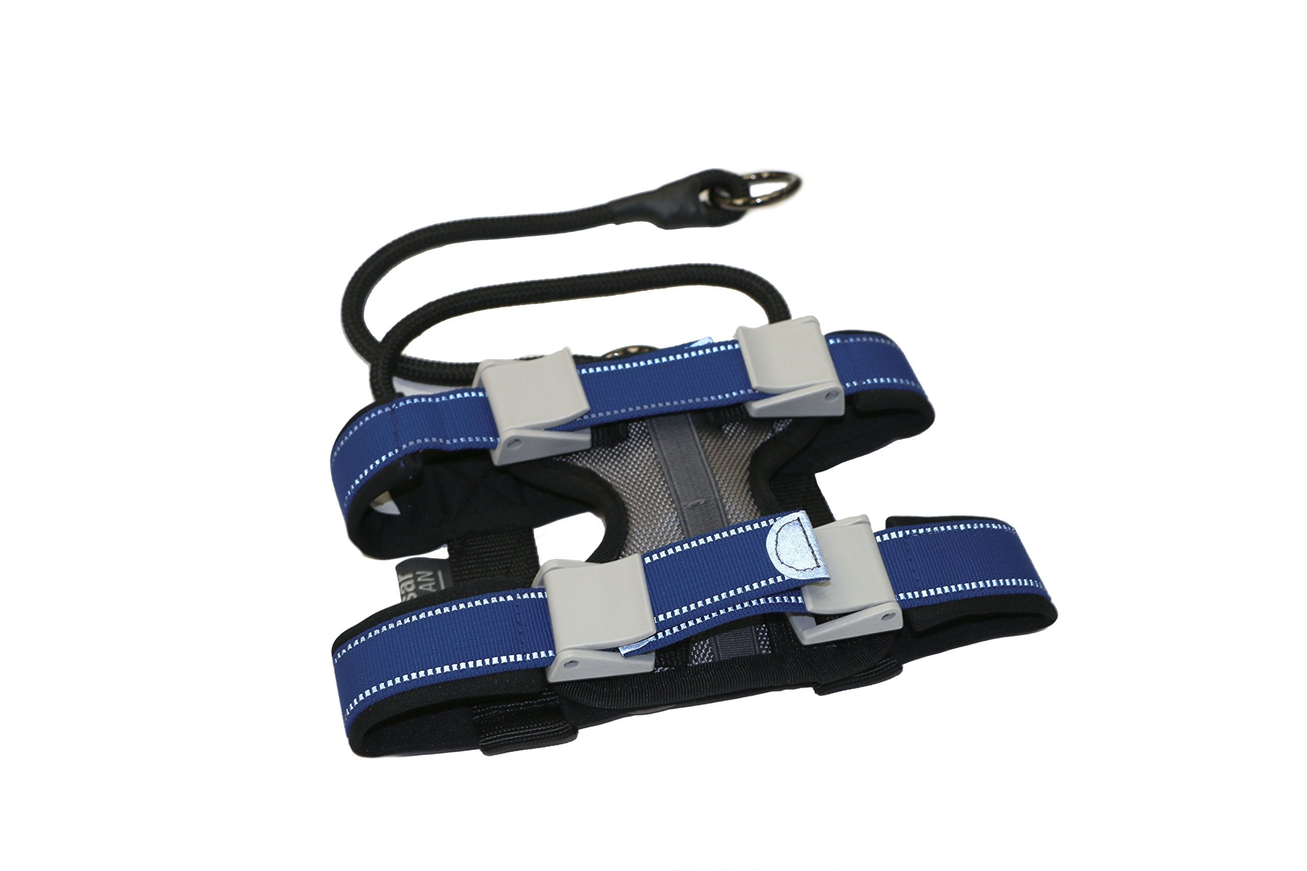 Cesar Millan Pack Leader Collar™ - Training Collar Of The Dog Whisperer (Small, Blue)