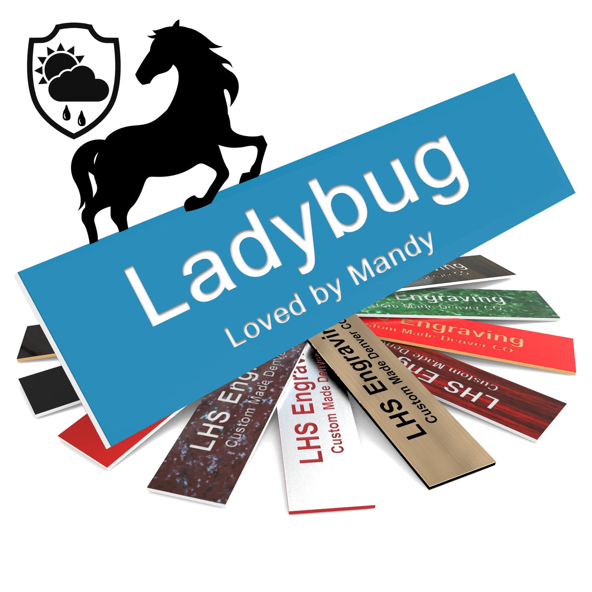 Lhs | Personalized Horse Stall Name Plates, 2X6 Horse Stall Signs With Adhesive, All Weather Uv Protected, Light Blue Plastic Wh