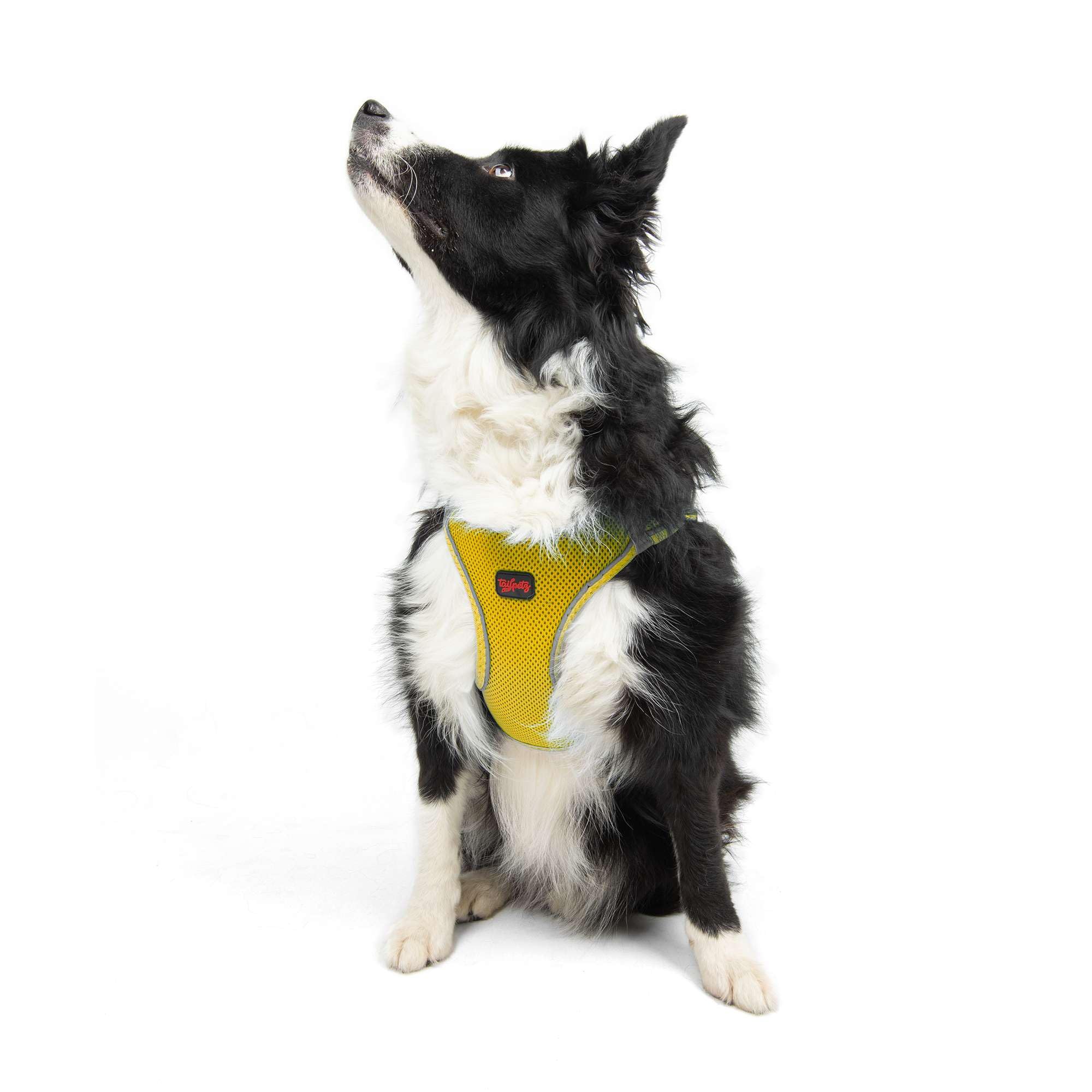 Tailpetz Dog Harness, Adjustable Step in No Pull Dog Harness for Large Dog, Reflective Puppy Harness for Puppy Training, Large B