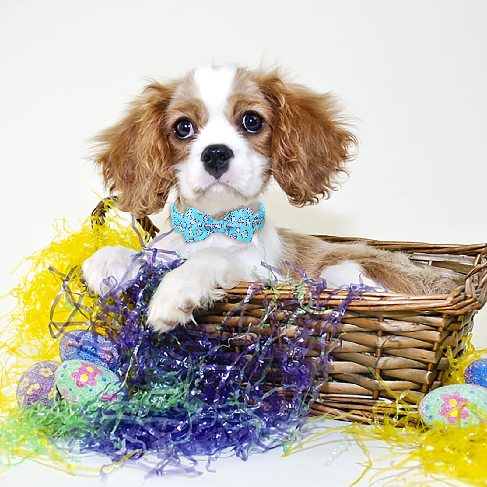 2023 New Dog Collar Easter Gift With Bow Tie-Babole Pet, Rabbit Egg Male Dog Collar With Safety Metal Buckle Adjustable Puppy Collars For Small Medium Large Boy & Girl Dog,L-Neck 16'-24'