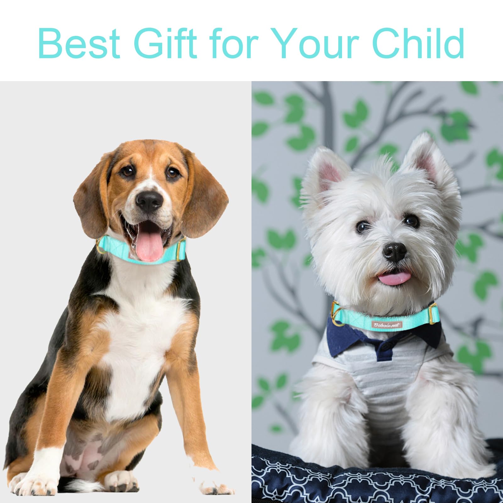 Babole Pet Nylon Dog Collar - Adjustable Lake Blue Soft Webbing Dog Collars For Small Medium Large Dogs Boy Girl Puppy Collar Wi