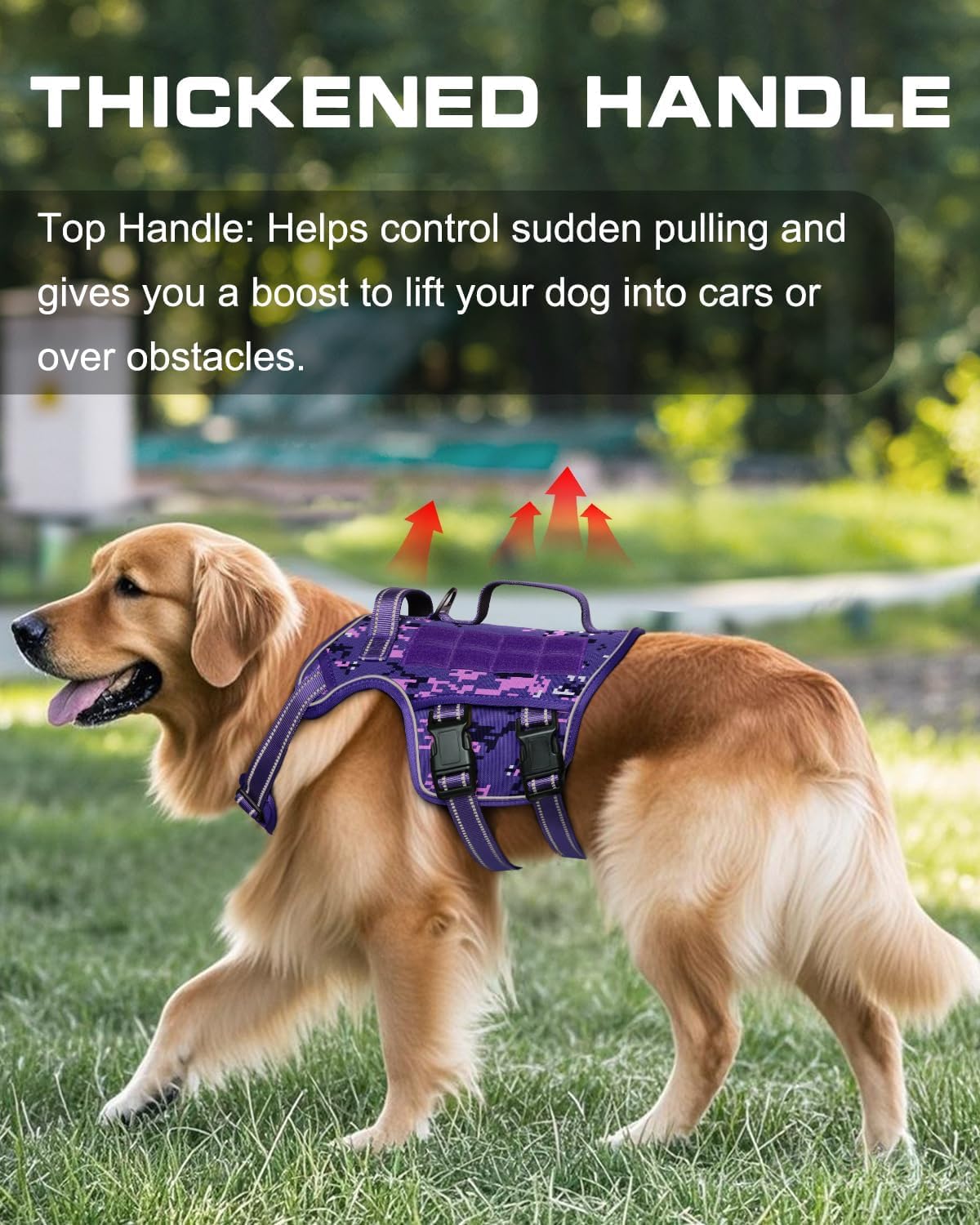 Small Dog Harness, Heavy Duty Tactical No Pull Dog Harness, No Choke, Easy On and Off Pet Vest with Molle System, Adjustable Ref