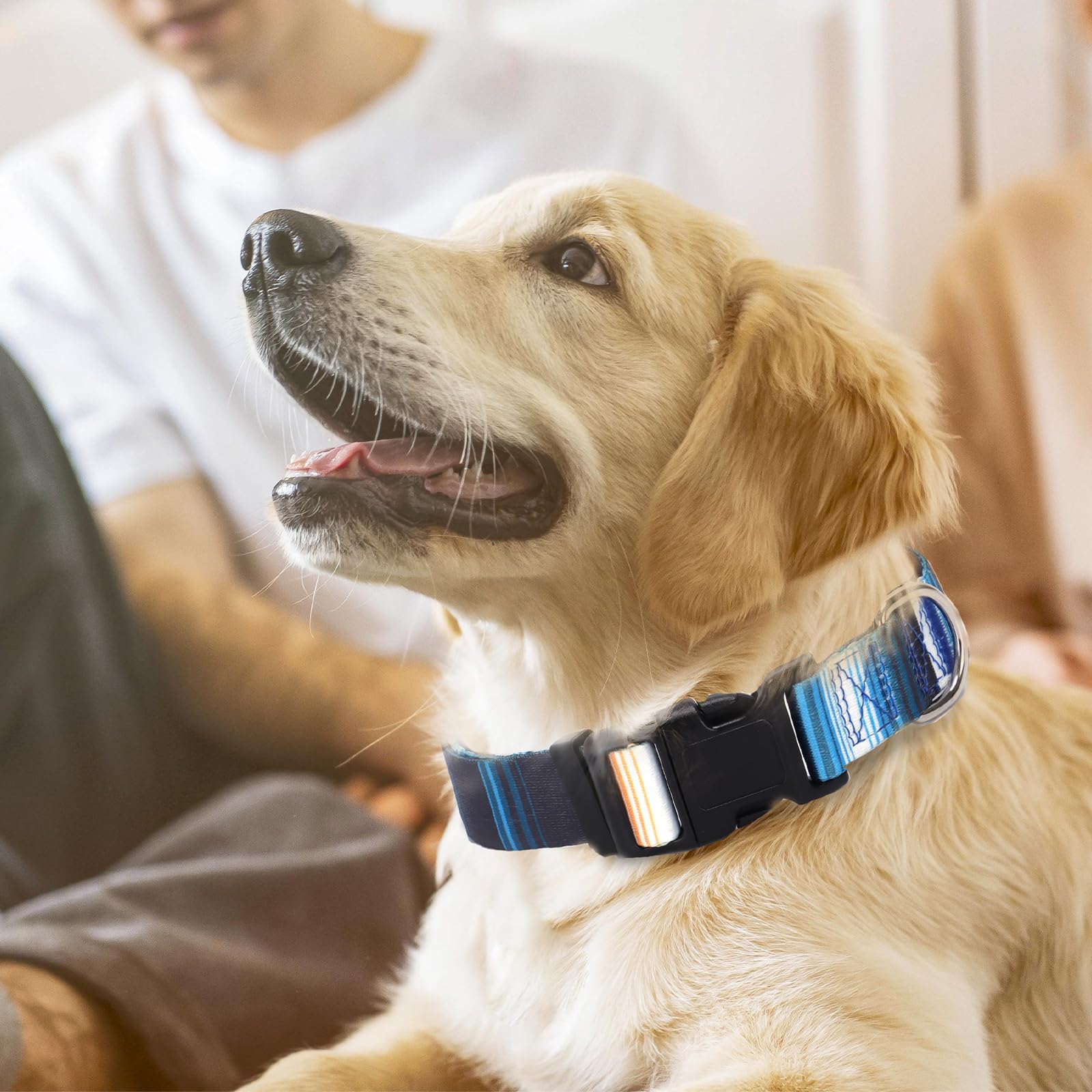 Dog Collars For Small Dogs With Cute Blue Stripes Design For Boys Dog, Adjustable Soft Pet Collar For Xs Small Medium Large Dogs