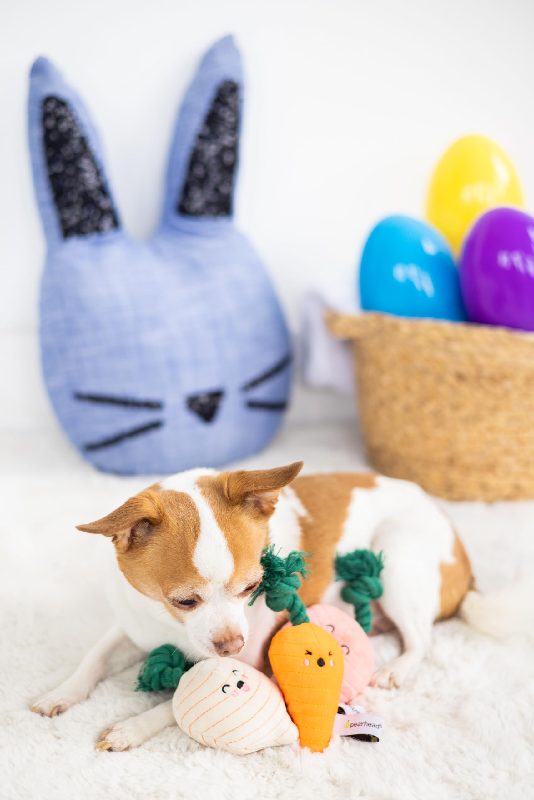 Pearhead Spring Garden Veggies Dog Toys, Radish, Carrot and Turnip Squeaky Rope Toys, Gift for Pet Parents, Vegetable Plush Dog
