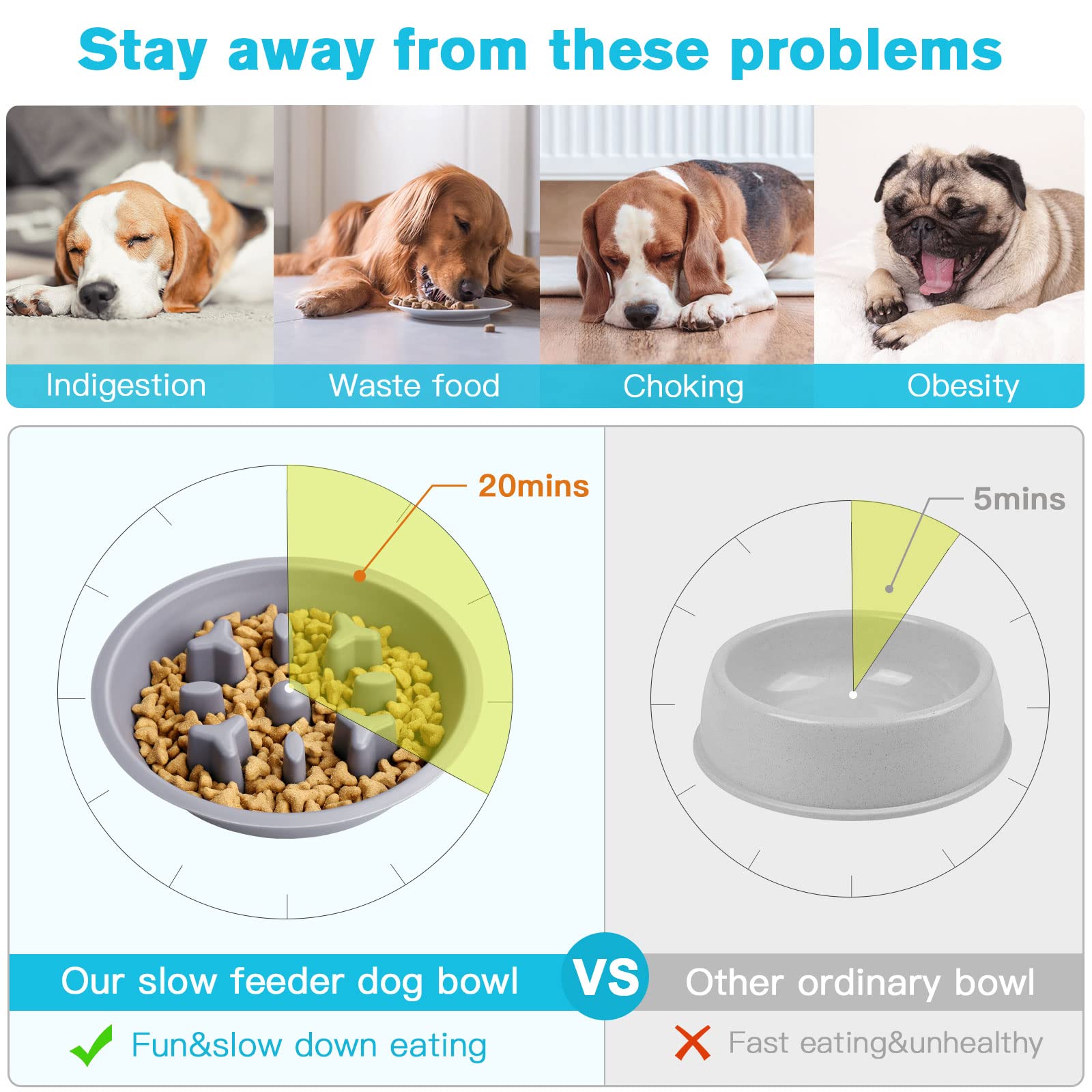 Dog Bowls Double Dog Water and Food Bowls Stainless Steel Bowls with Non-Slip Resin Station, Pet Feeder Bowls for Puppy Medium D