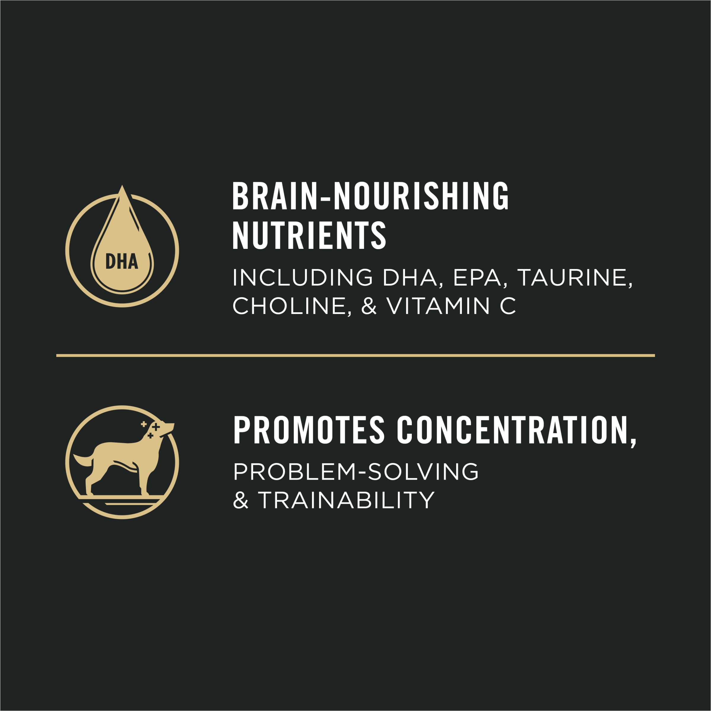Purina Pro Plan Sport Development 30/20 Chicken and Rice Formula High Protein Dog Food for Puppies - 16 lb. Bag