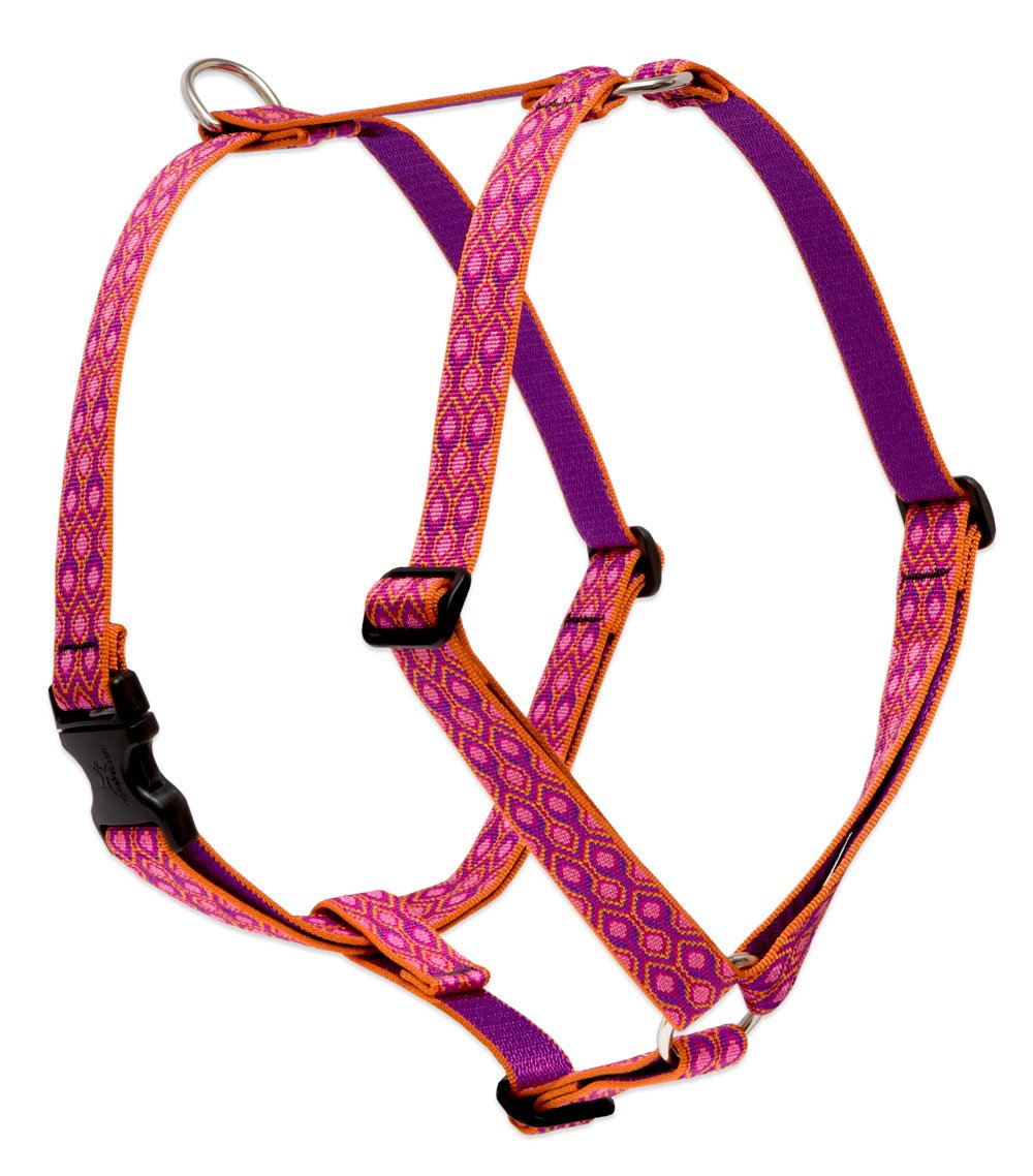 Lupinepet Originals 1' Alpen Glow 20-32' Adjustable Roman Dog Harness For Medium Dogs