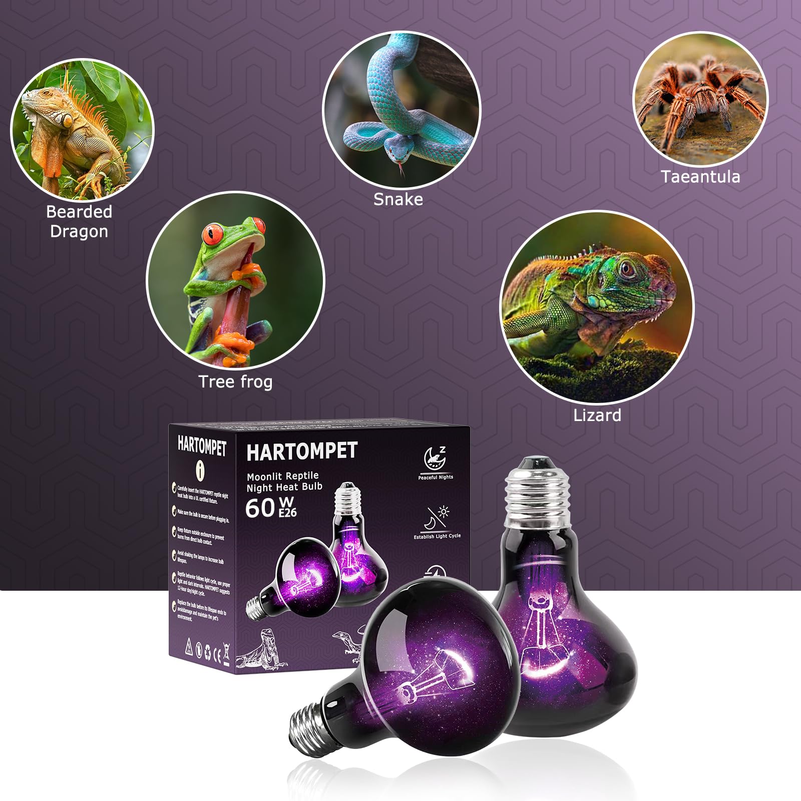 HARTOMPET 60W Reptile Night Light Bulb, UVA Heat Lamp - Simulate Natural Moonlight, Purple Basking Lamp for Bearded Dragon, Liza
