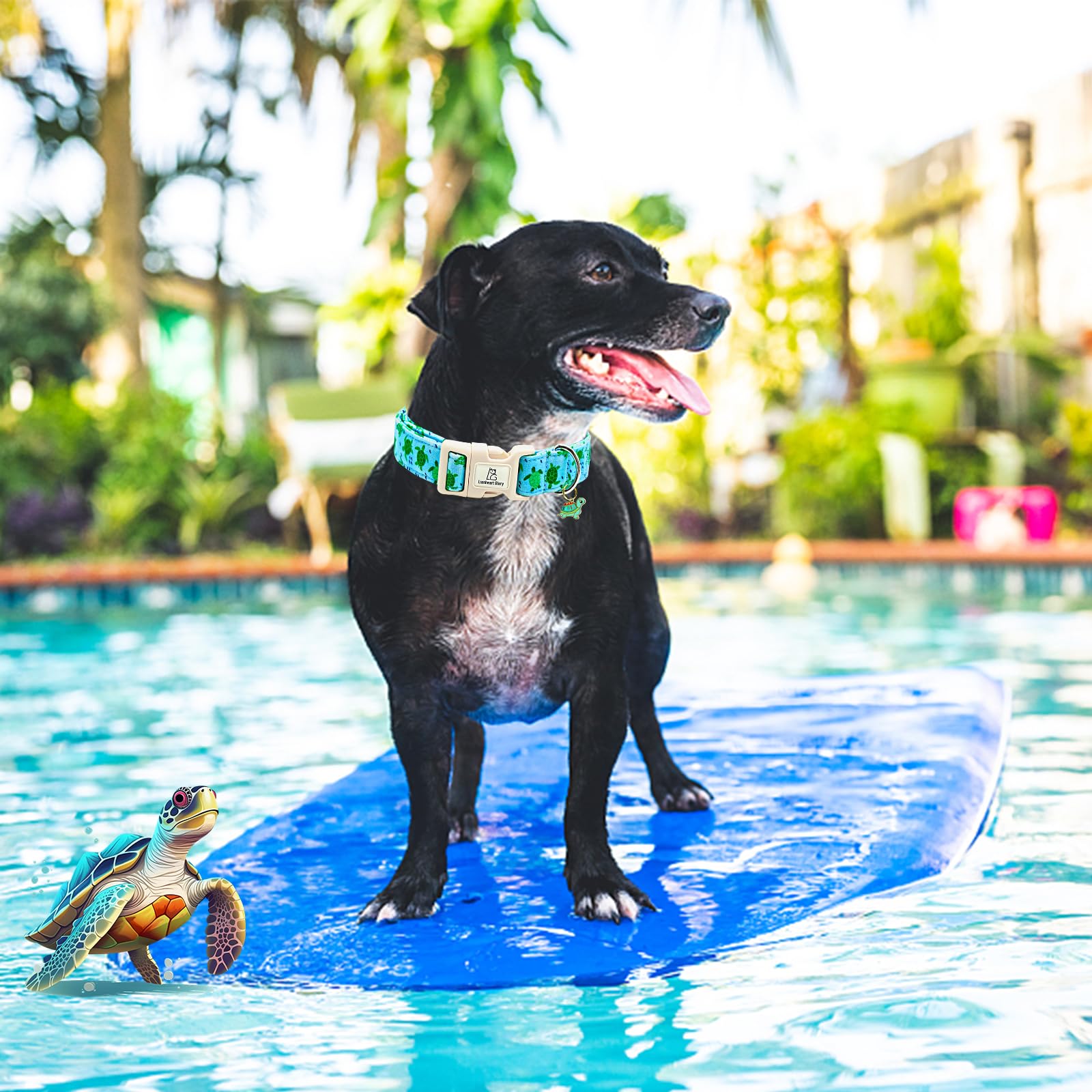 Lionheart Glory Dog Collar Blue Sea Turtles Dogs Collar Spring Summer Cute Collars Dog Boy Or Girl Soft Durable Adjustable Colla