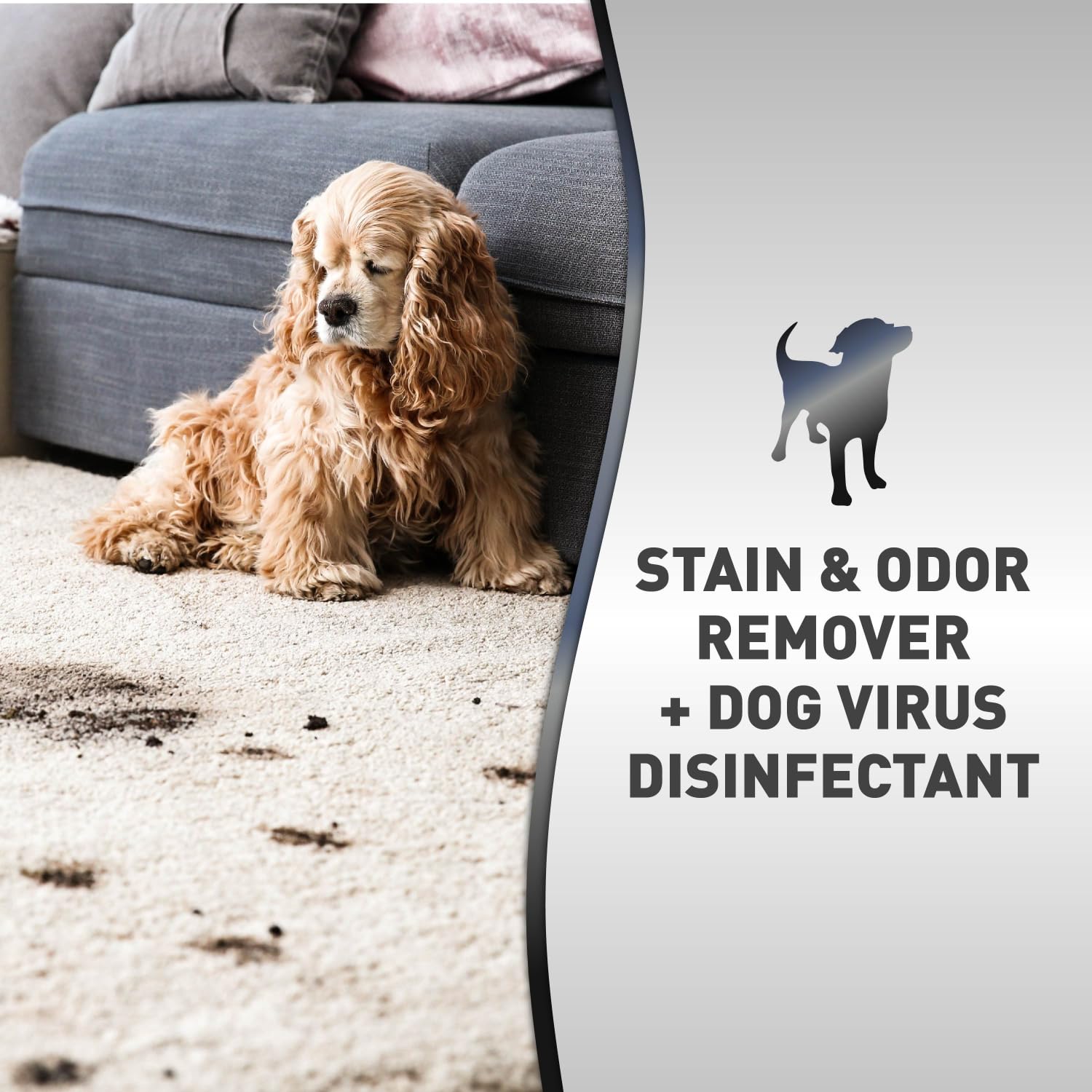 Nature'S Miracle Advanced Platinum Stain And Odor Remover And Virus Disinfectant, 32 Ounces, Disinfects And Cleans