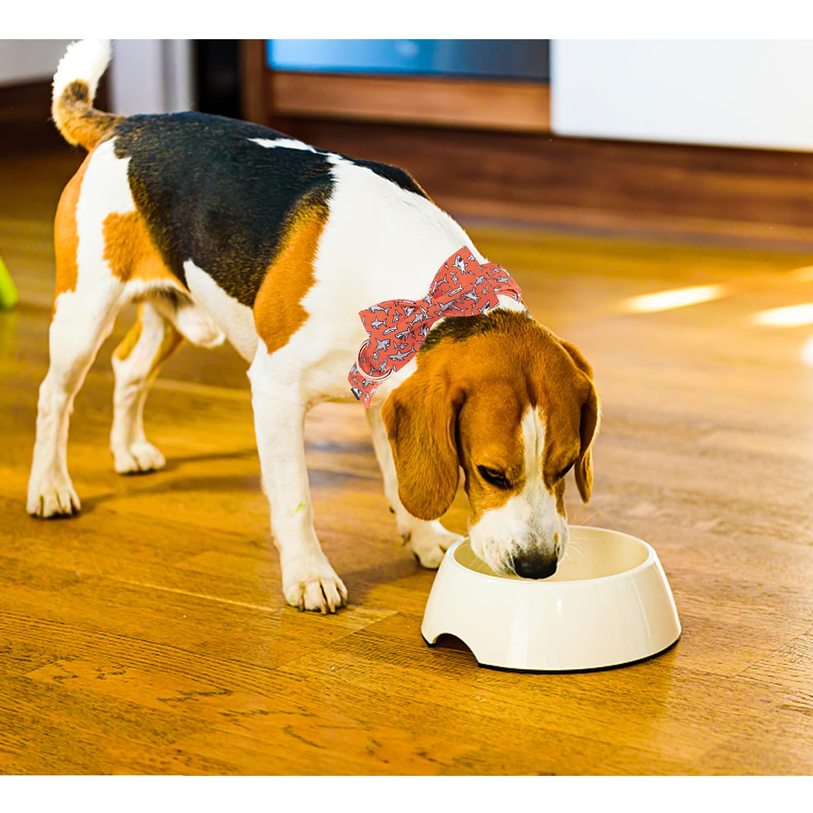 Lionheart Glory Shark Print Bow Tie Collar For Medium Dogs