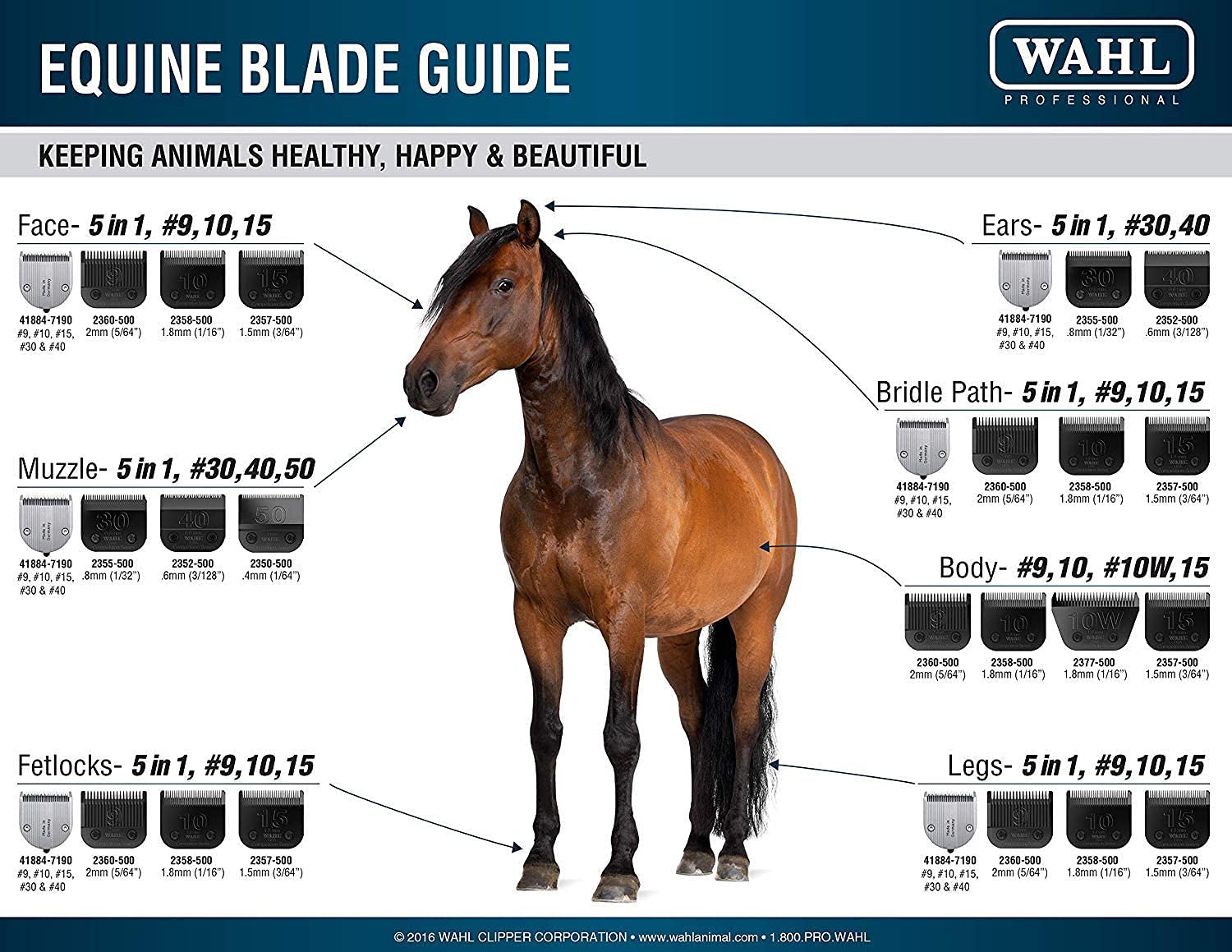 Wahl Professional Animal 10 Medium Ultimate Competition Series Detachable Blade With 1/16-Inch Cut Length (2358-500)