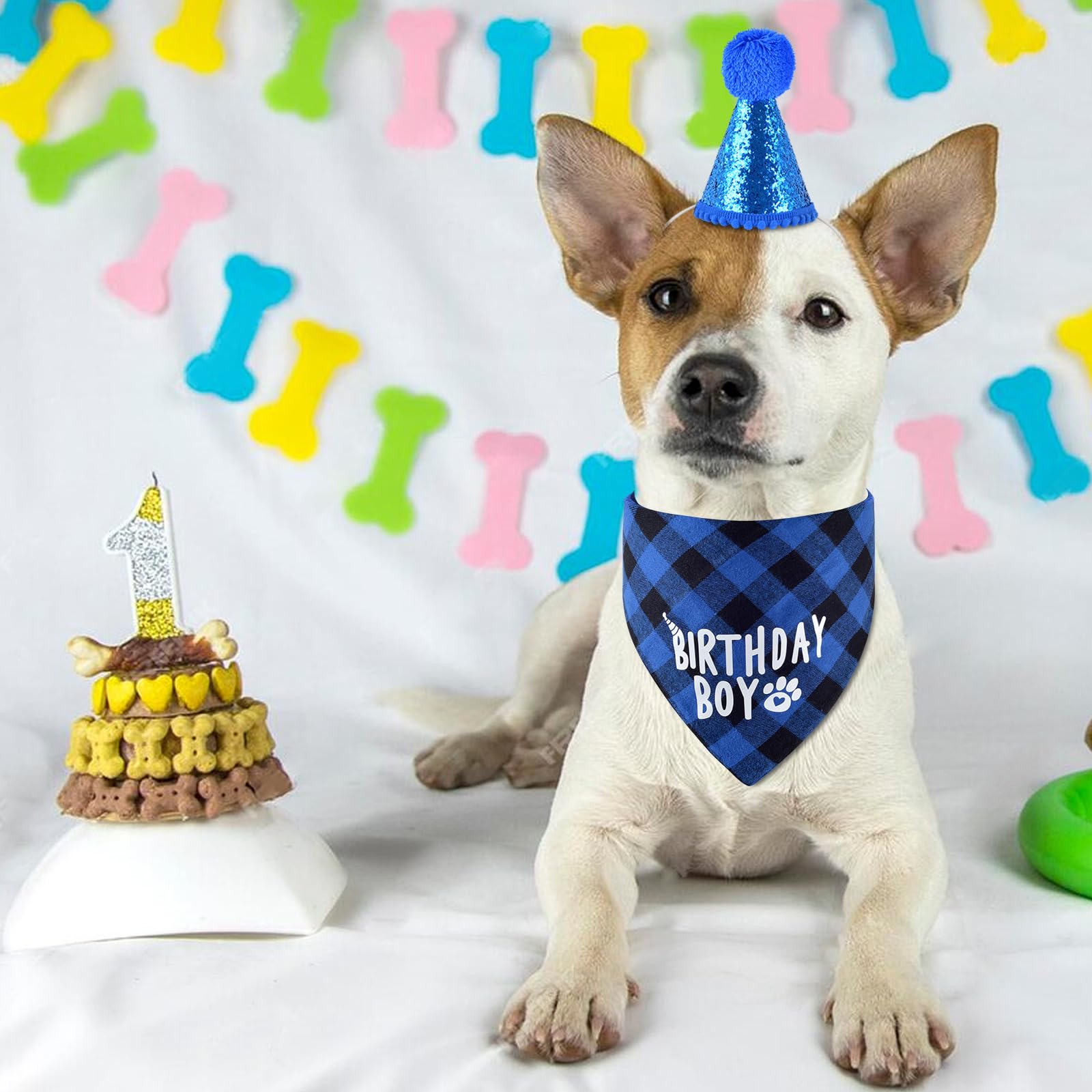Dog Birthday Party Supplies - Bandana And Hat With Numbers For Small, Medium, Large Pets