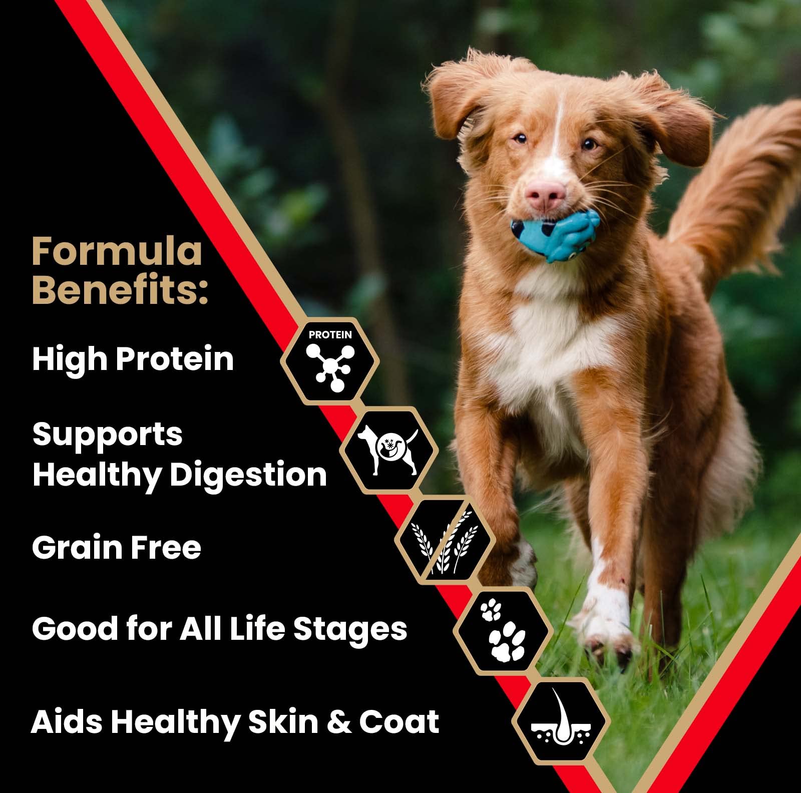 Victor Super Premium Dog Food - Grain Free Active Dog & Puppy - Dry Dog Food with 33% Protein, Gluten Free - for High Energy Dog