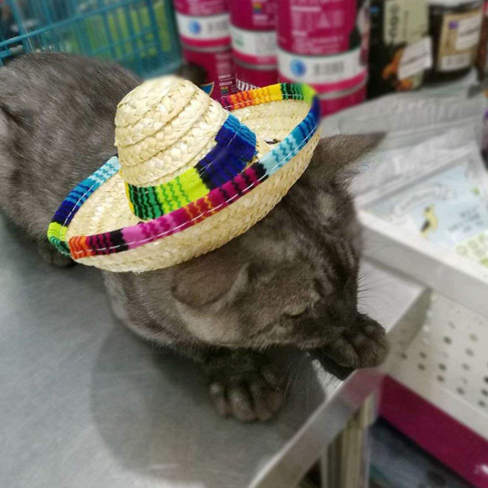 Cieovo Dog & Cat Straw Sombrero Hat, Mini Mexican Hats, One Size Fits All, Lightweight, Multi-Use Pet Apparel