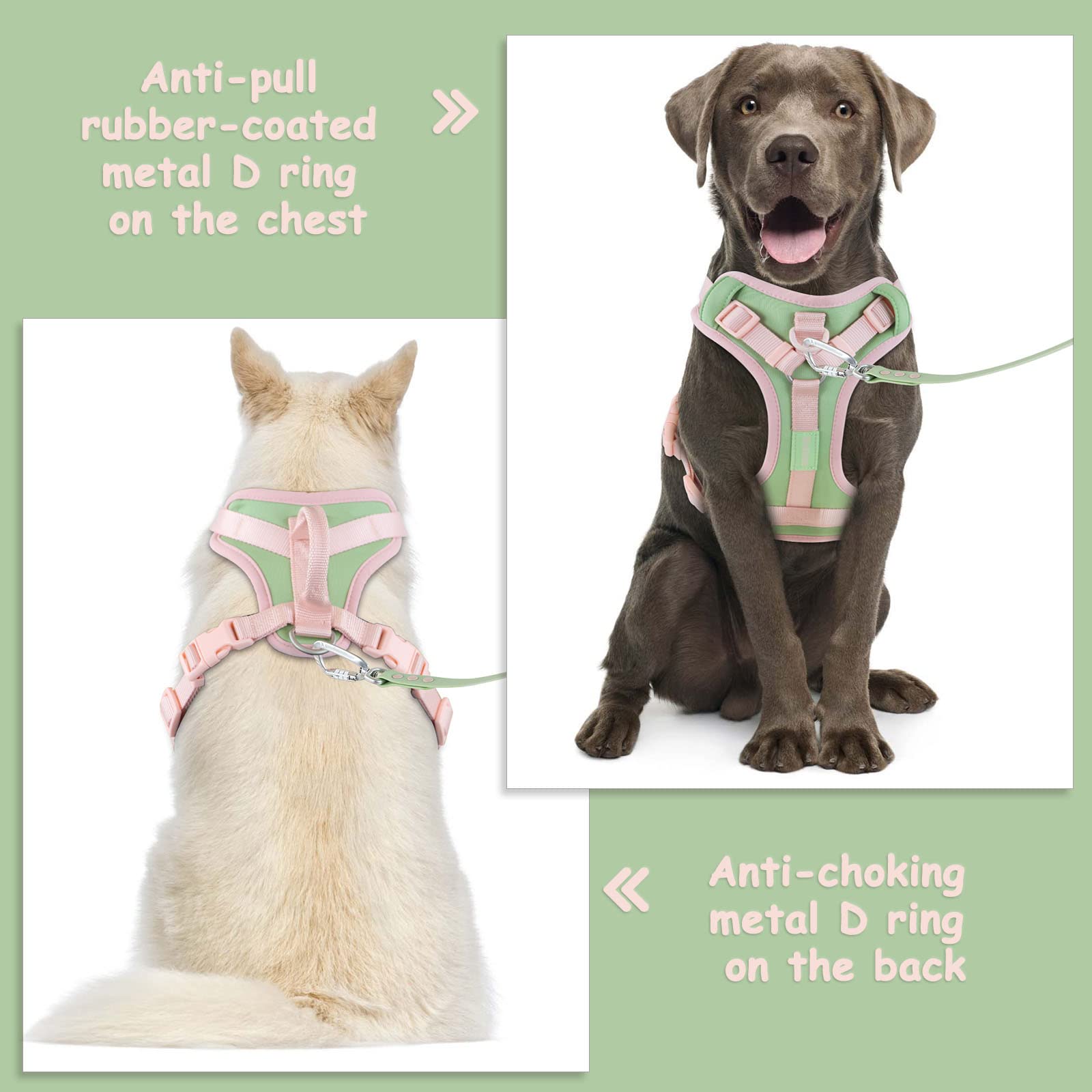Wolfone No Pull Dog Harness Adjustable Soft Padded Pet Vest With Control Handle Adorable Daily Harness For Dogs(Mint Green Xl)