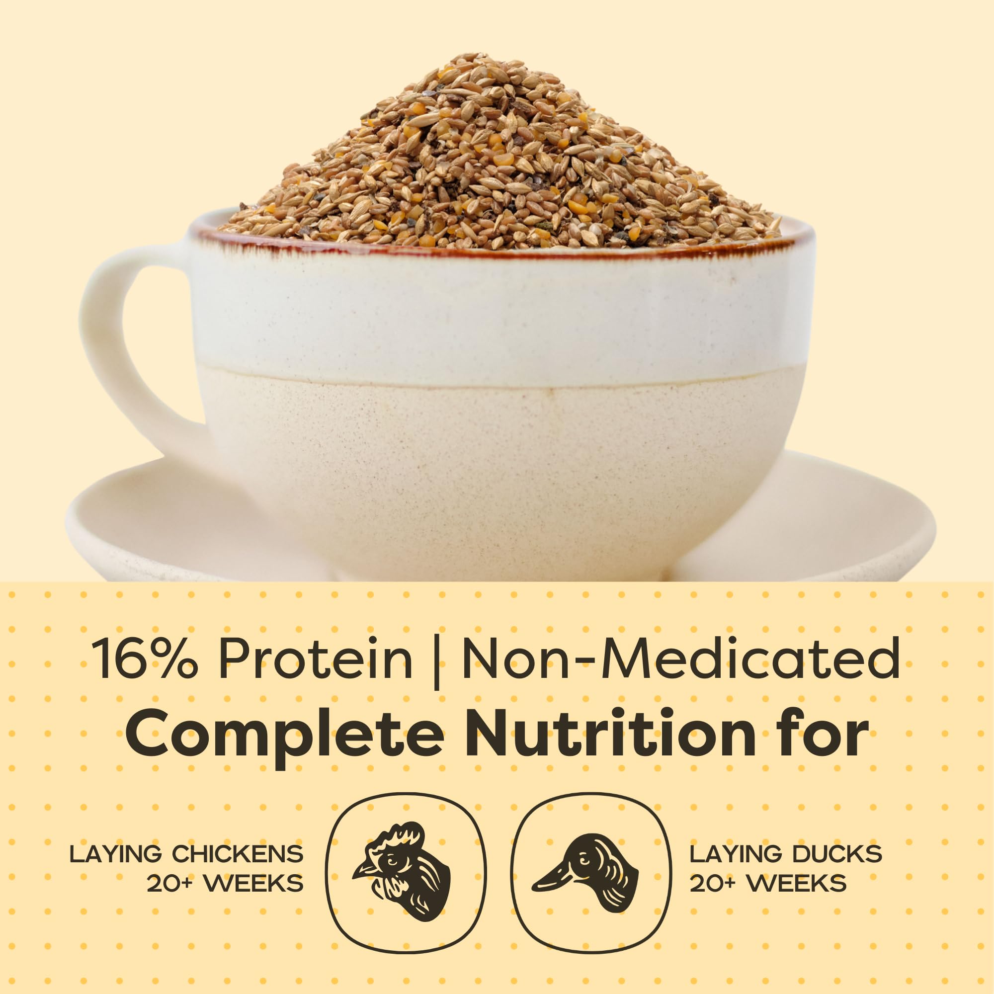 Scratch and Peck Feeds Whole Grain Layer Mash Chicken and Duck Feed - Corn-Free and Soy-Free - 16% Protein, Certified Organic an