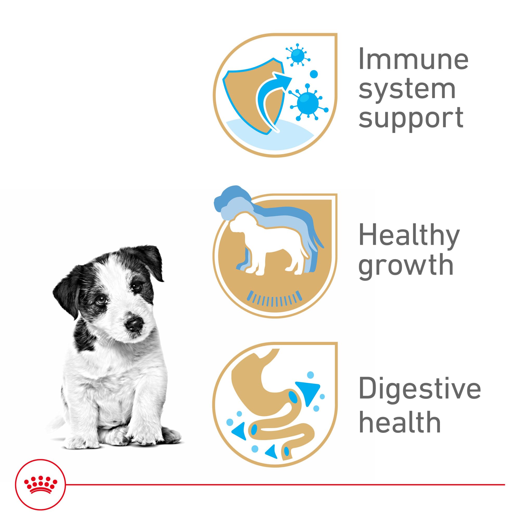 Royal Canin Breed Health Nutrition Jack Russell Terrier Puppy Dry Dog Food, 3 lb Bag
