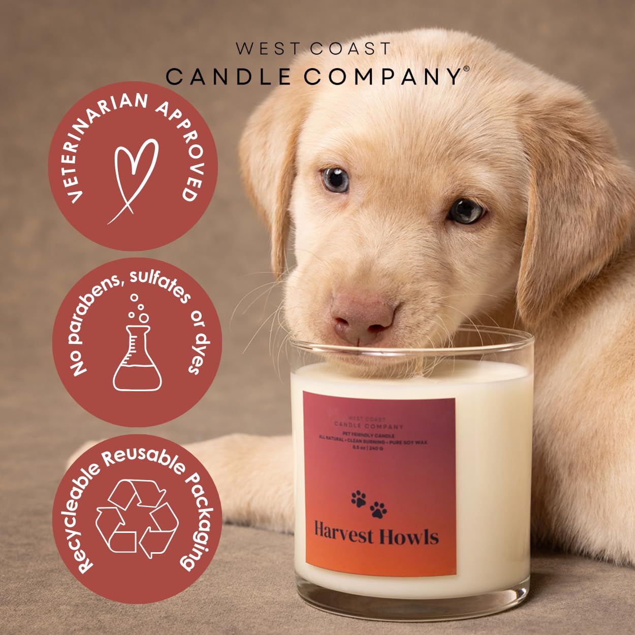 Pet Friendly Wax Melts - All Natural, Non-Toxic, Pet Odor Eliminator - Pure Soy, Dog Safe, Veterinarian Approved (Pumpkin Spice)