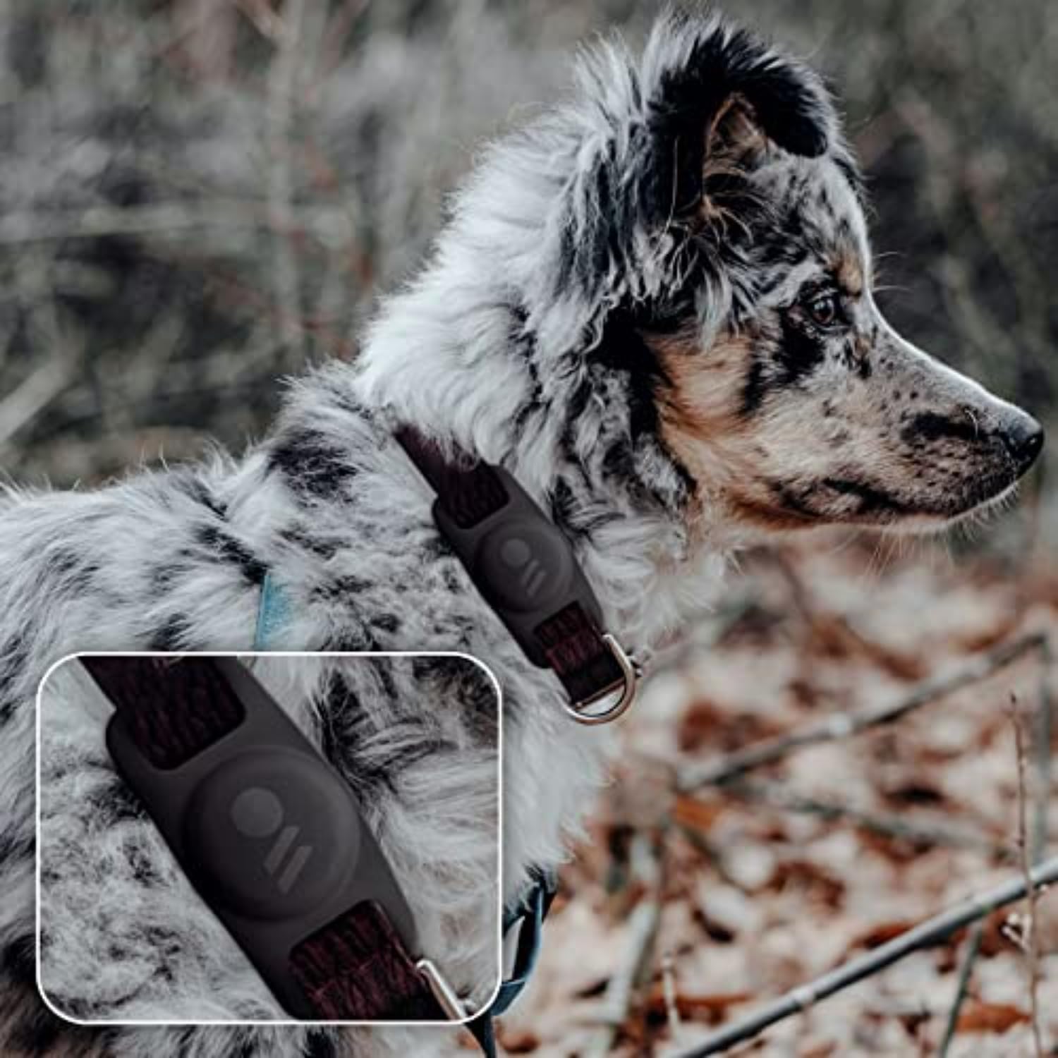 Case-Mate Airtag Dog Collar Holder - Water Resistant Airtag Holder Tag - Lightweight, Protective Airtag Case For Dog Collar - Pet Collar Airtag Loop - Compatible With Cat/Dog Collars - Black