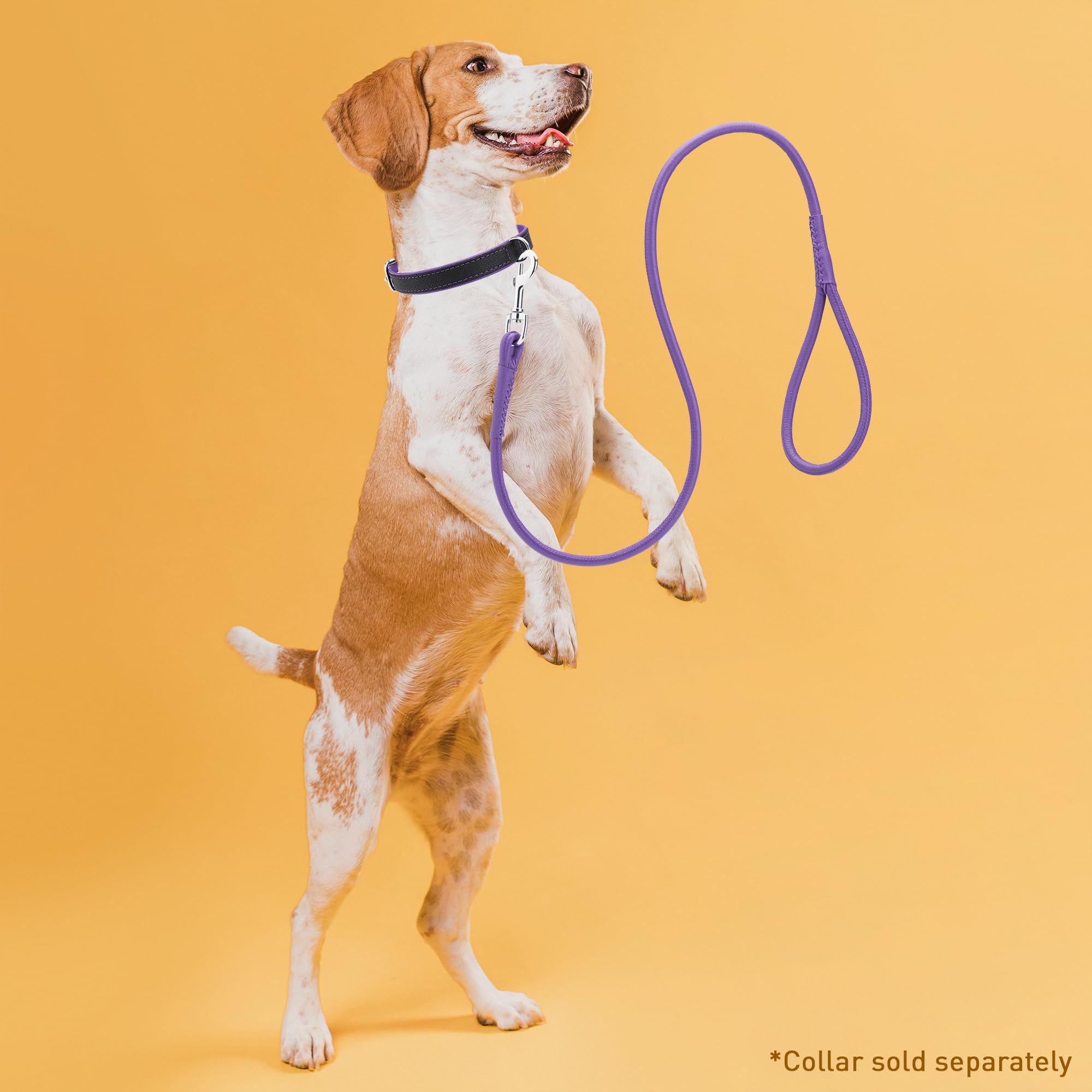 Dogline 1/4-Inch Wide Soft Padded Rolled Round Leather Dog Leash Lead, 4-Feet, Purple