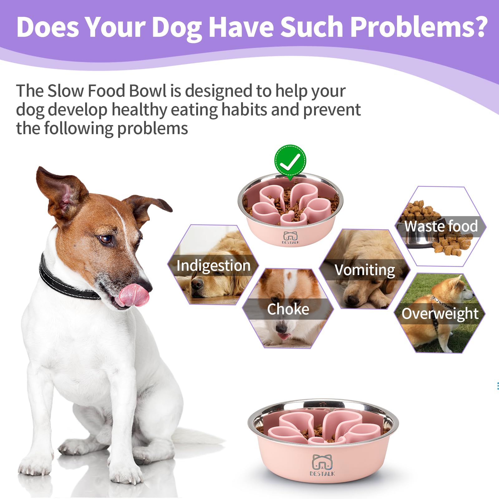 Stainless Steel Slow Feeder Dog Bowl, Bestalk 2-in-1 Metal Dog Bowls with Silicone Slow Feeder Insert for Small, Medium, Large D