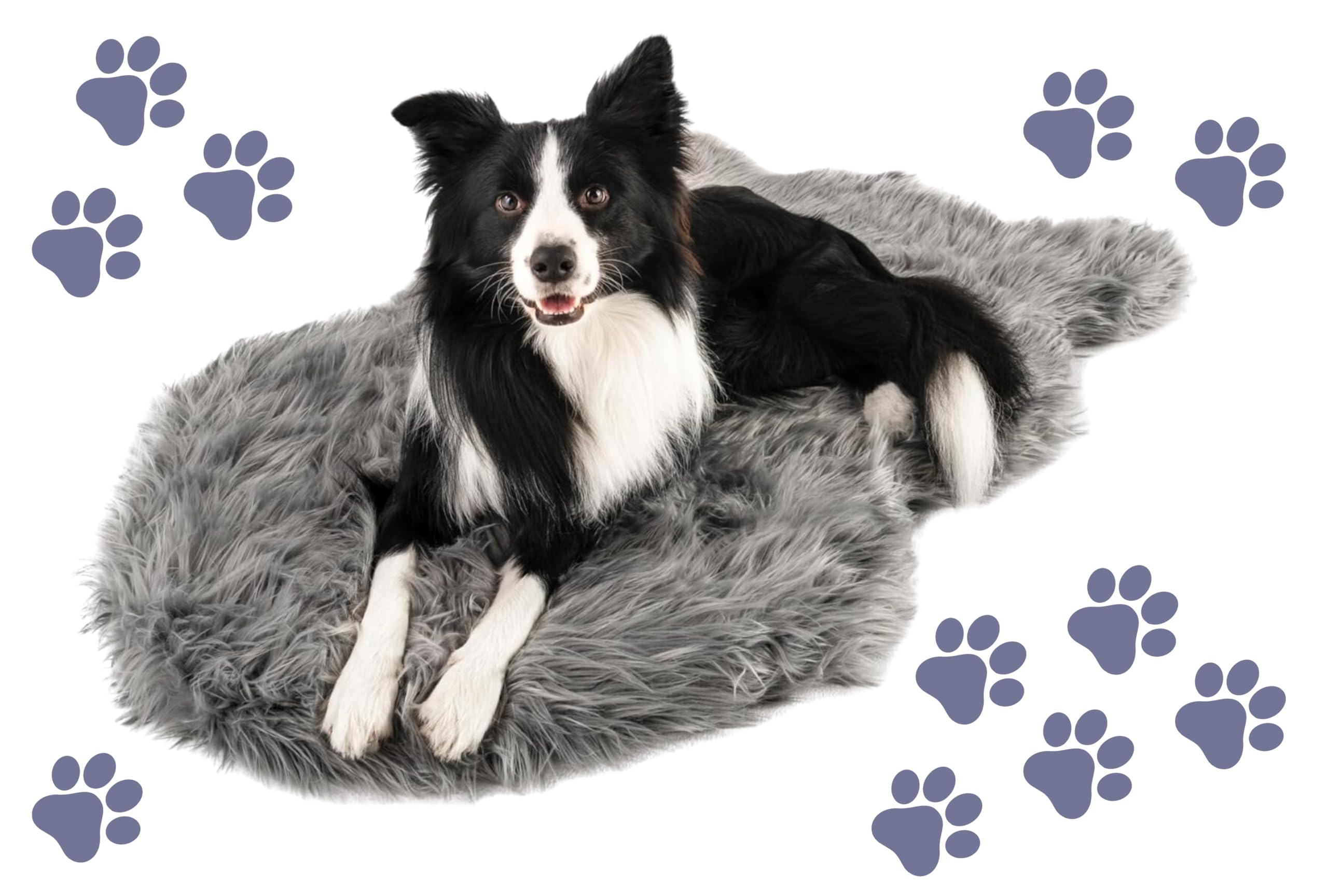 PupRug Orthopedic Dog Bed for Large Dogs with Fluffy Soft Faux Fur and Memory Foam for Joint Pain Relief, Machine Washable and W