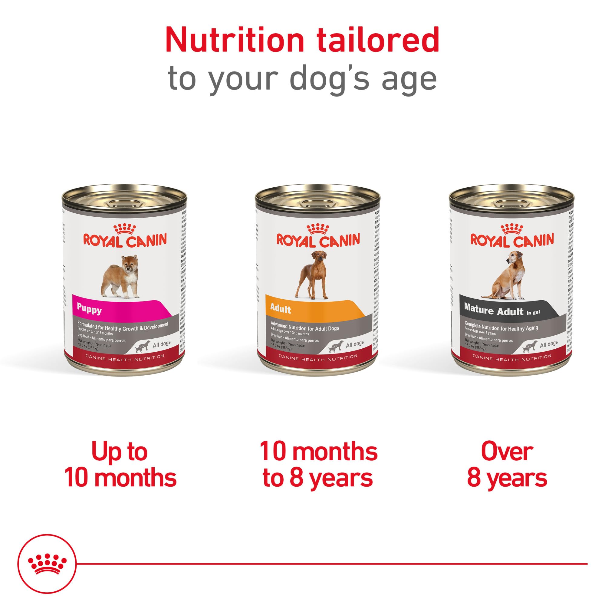 Royal Canin Canine Health Nutrition Adult In Gel Canned Dog Food, 13.5 oz can (6-pack)