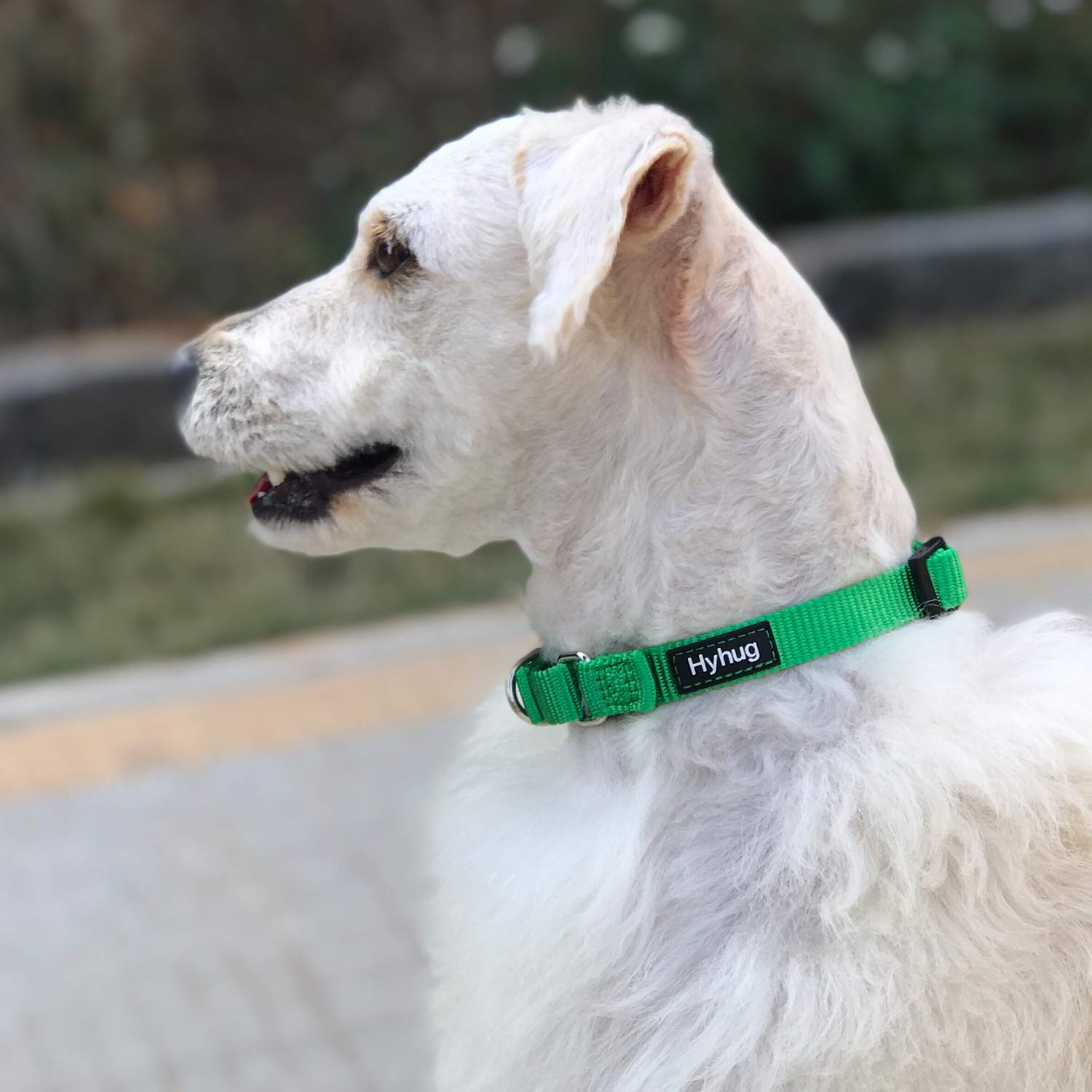 Hyhug Solid Color Nylon Martingale Collar, Heavy Duty Escape-Proof Pup Dog Collar. (Small, Lime Green)