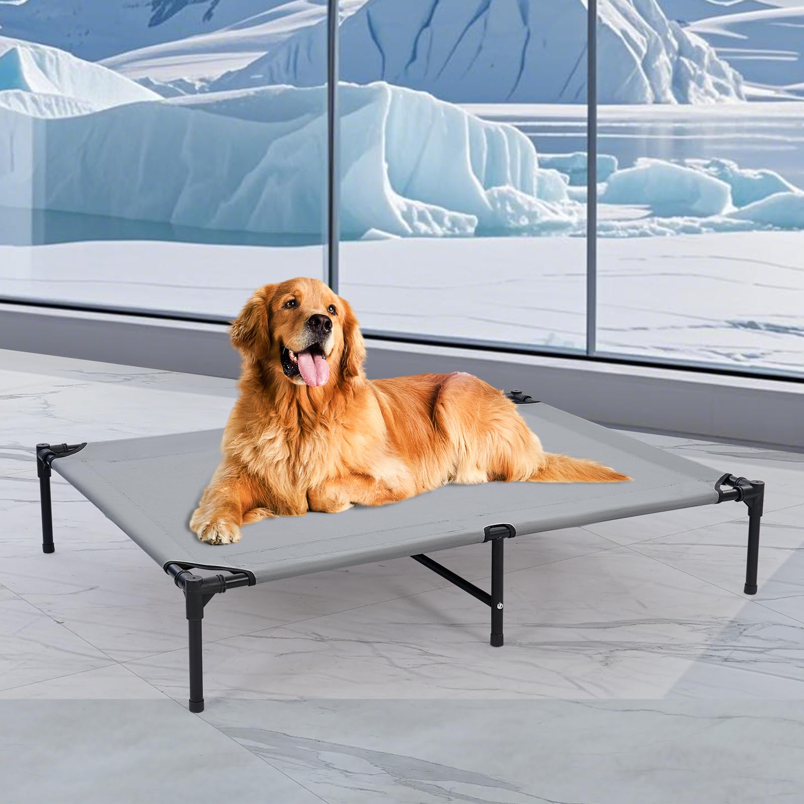 42 Outdoor Elevated Dog Bed with Six Support Feet, Chew-Proof Raised Dogs Bed, Washable & Breathable Cooling Dog Cot Beds Medi