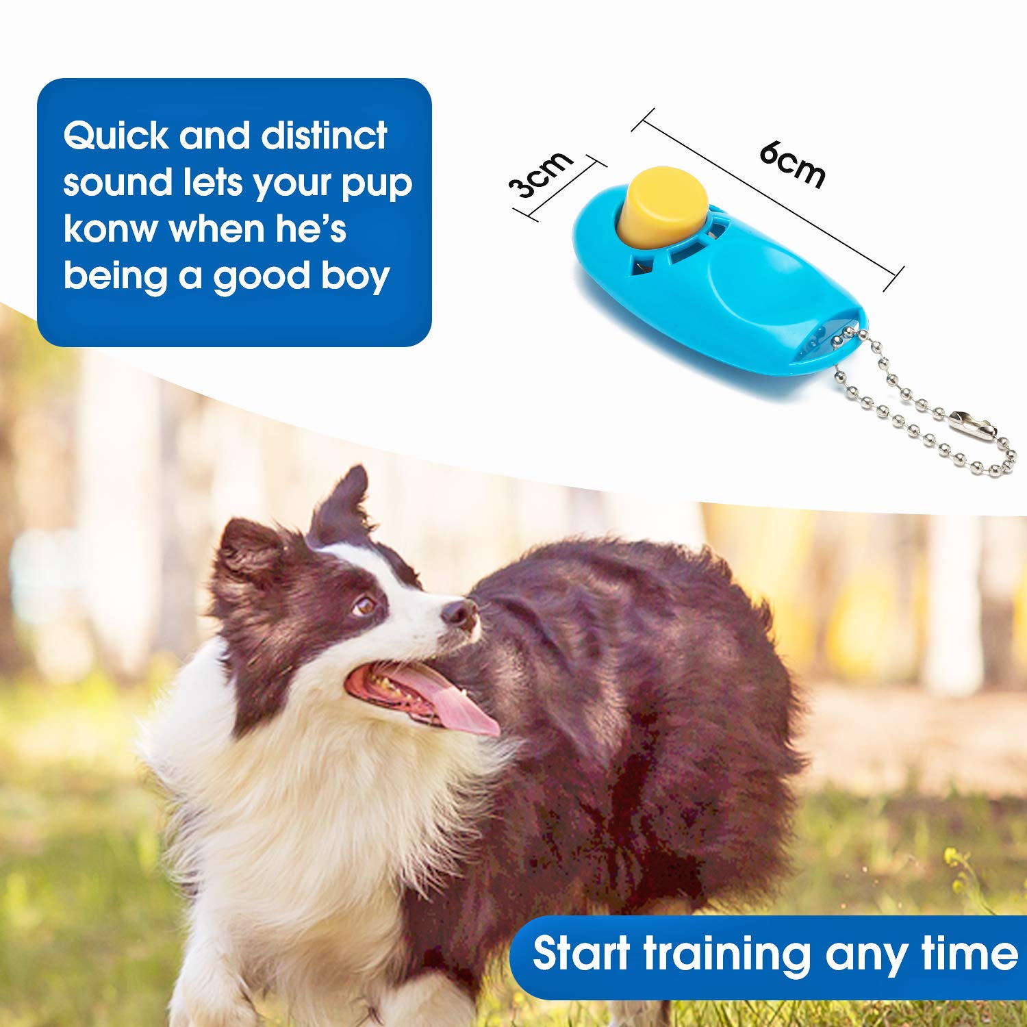 Baapet 15 Ft 20 Ft 30 Ft 50 Ft 100 Ft Long Dog Training Leash For Dog Training, Play, Camping, Or Backyard Lead With Training Clickers For Small, Medium And Large Dogs Or Cats (20 Feet, Skyblue)