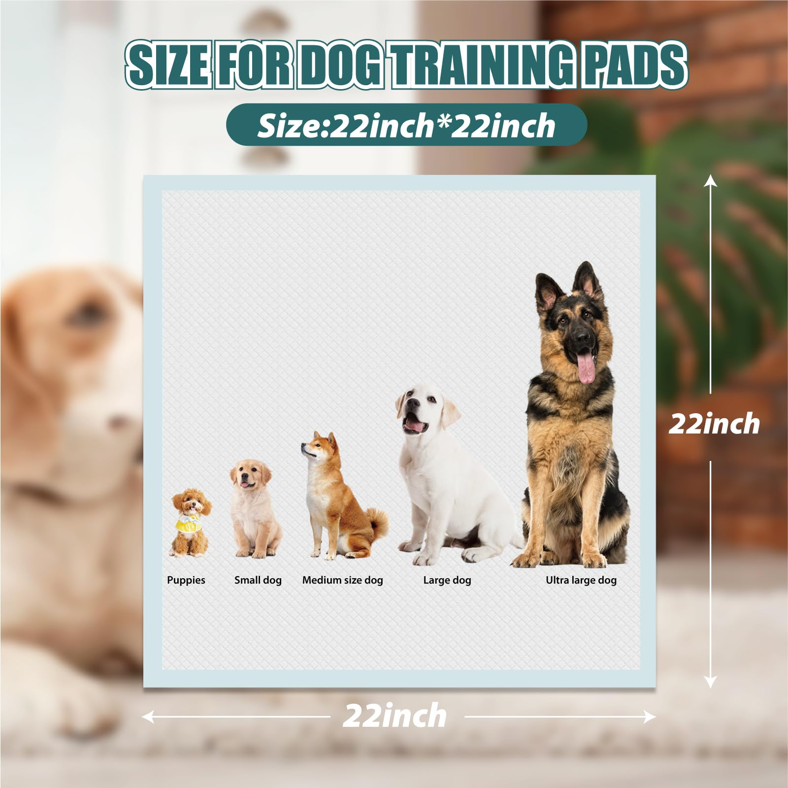 GWT Puppy Pads, Leak-Proof Changing Pad, 22x22 [50 Pads] Pee Pads for Dogs, Ultra Absorbent 5-Layer Dog Pads for Potty Training,