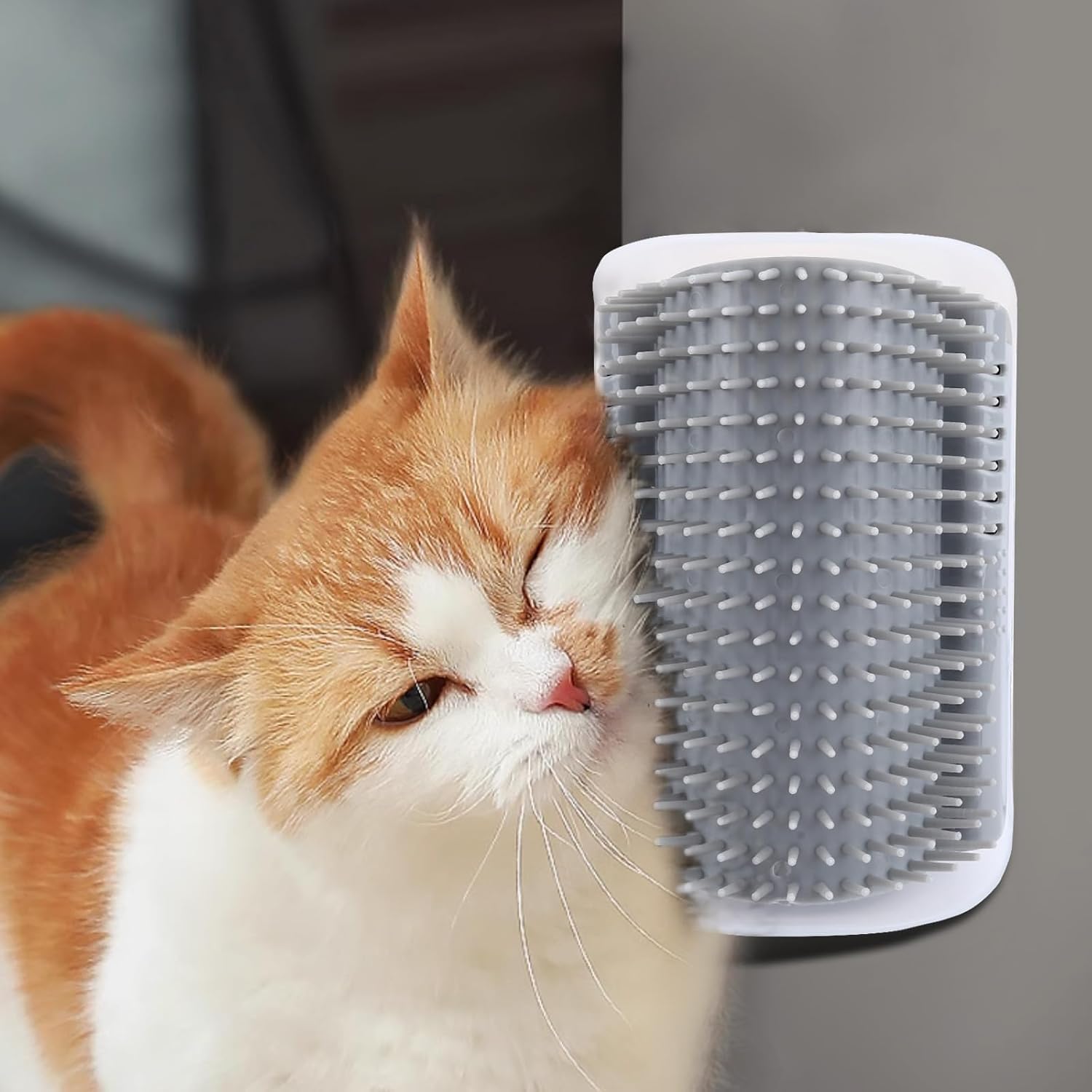 Cats Self Groomers Soft Wall Corner Scratcher With Catnip, Massage Combs, Grooming Brush Massager Tool For Long Short Fur Cat Ki