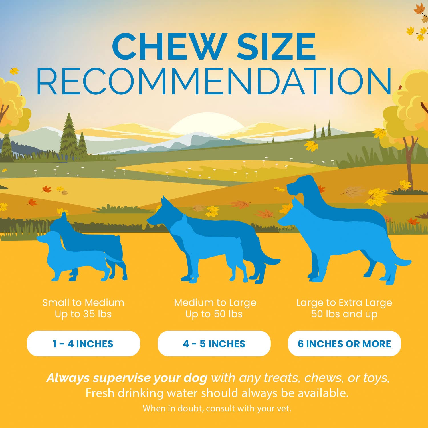 123 Treats Pig Ears for Dogs - 100% Natural Long Lasting Pork Dog Chews with Delicious Dog Chew Treat, Ideal for All Chewers, He
