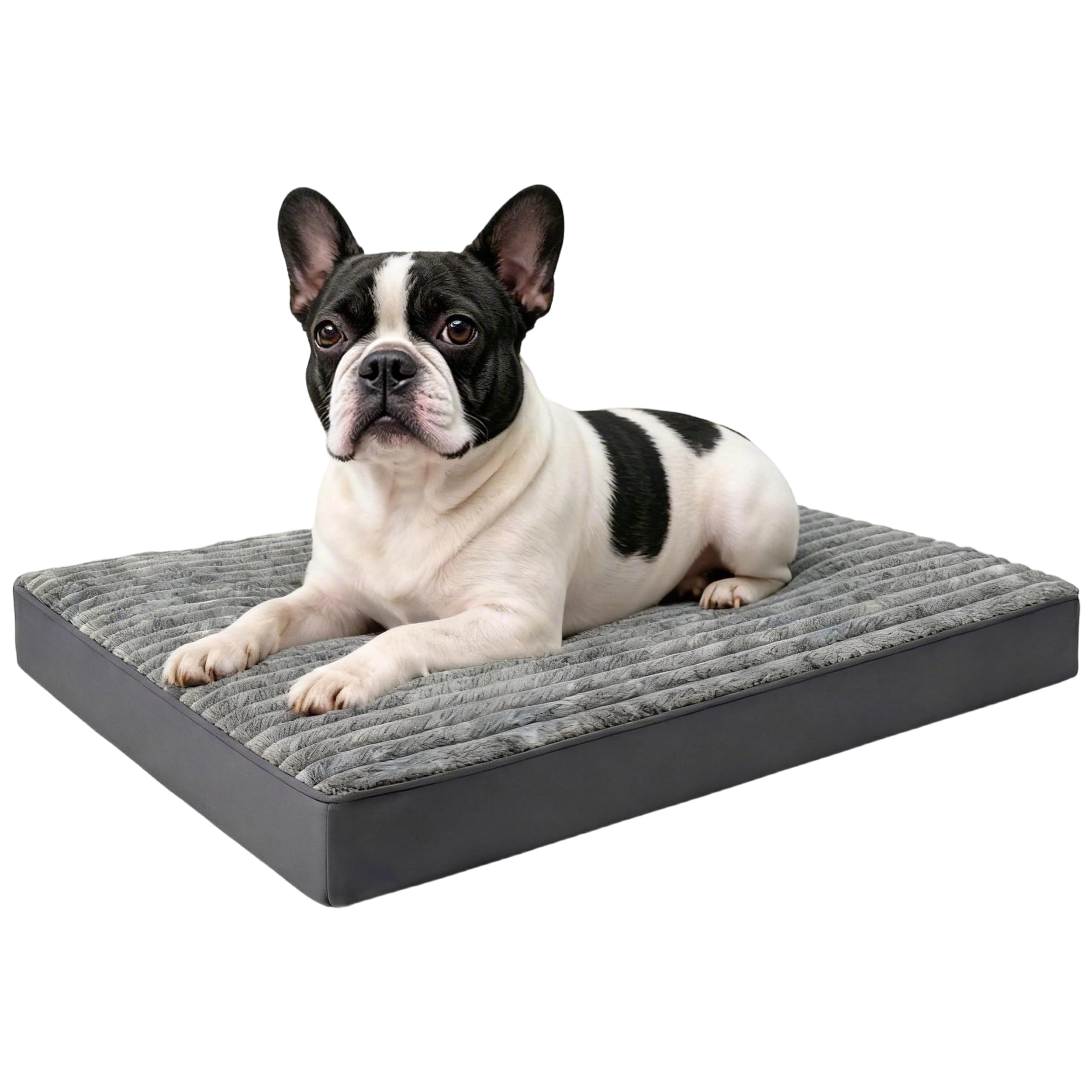 Small Dog Bed Sized Dogs, Orthopedic Flannel Pet Bed with Removable Washable Cover, Waterproof Indestructible Puppy Dog Cot Bed 