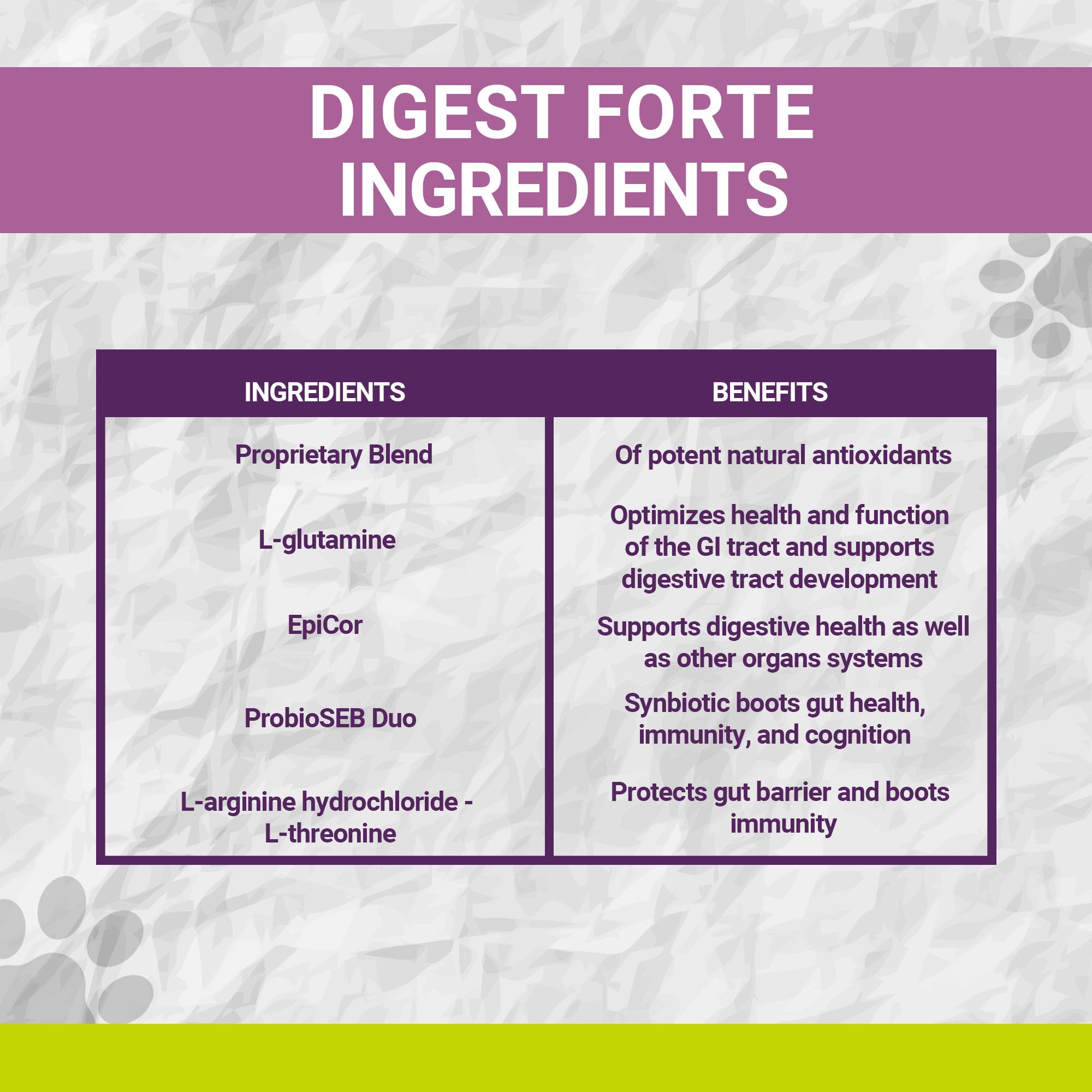 K9 Power Digest Forte for Dogs 1lb - Digestive, Immunity & Calming Support - Enhances Nutrient Absorption - Balances Gut Flora -