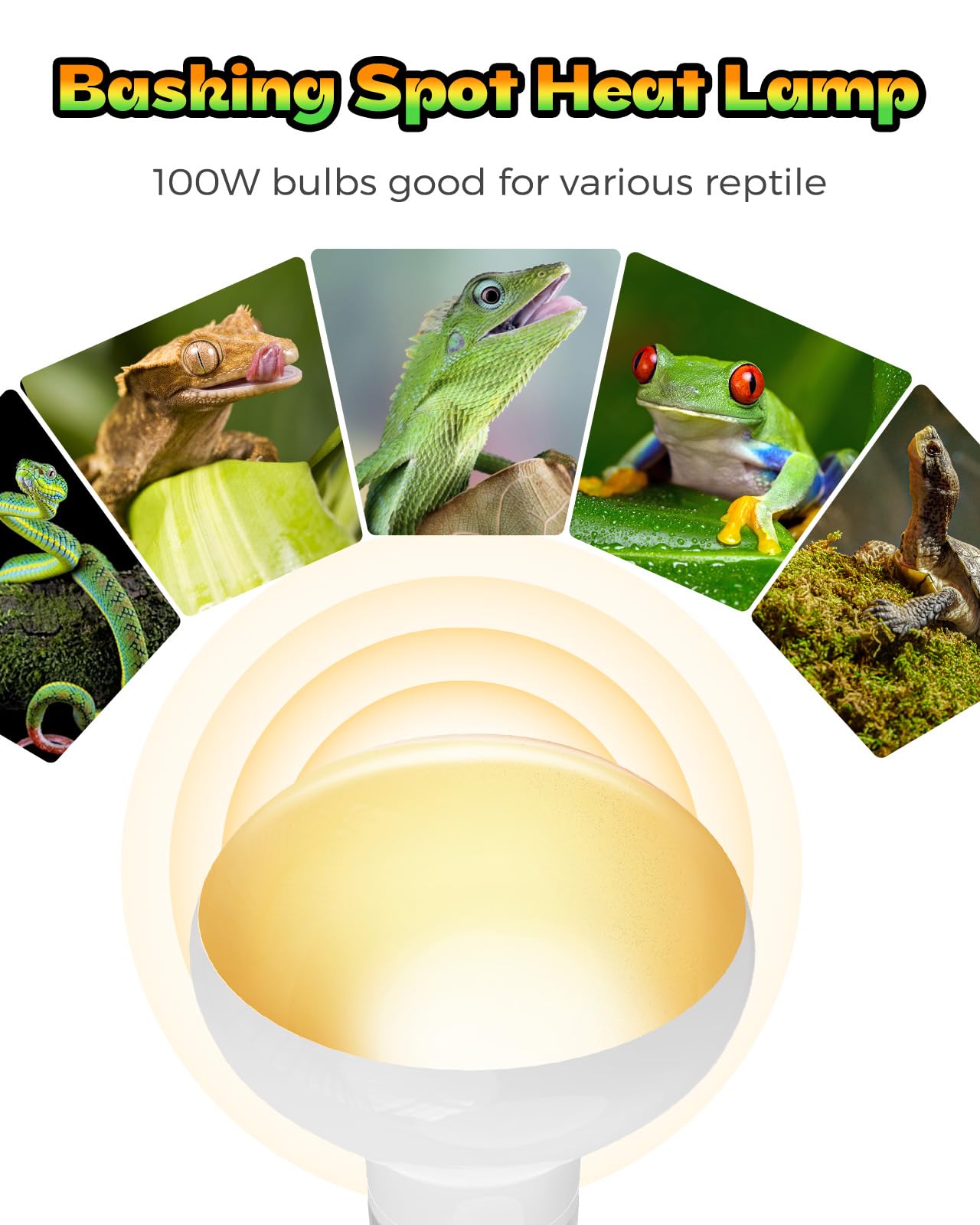 GAJUX Reptile Heat Lamp 2 Pack, 100W Heat Lamp Bulbs for Reptiles, Amphibians Basking Heat Lamp Bulbs, UVA Daylight Basking Ligh
