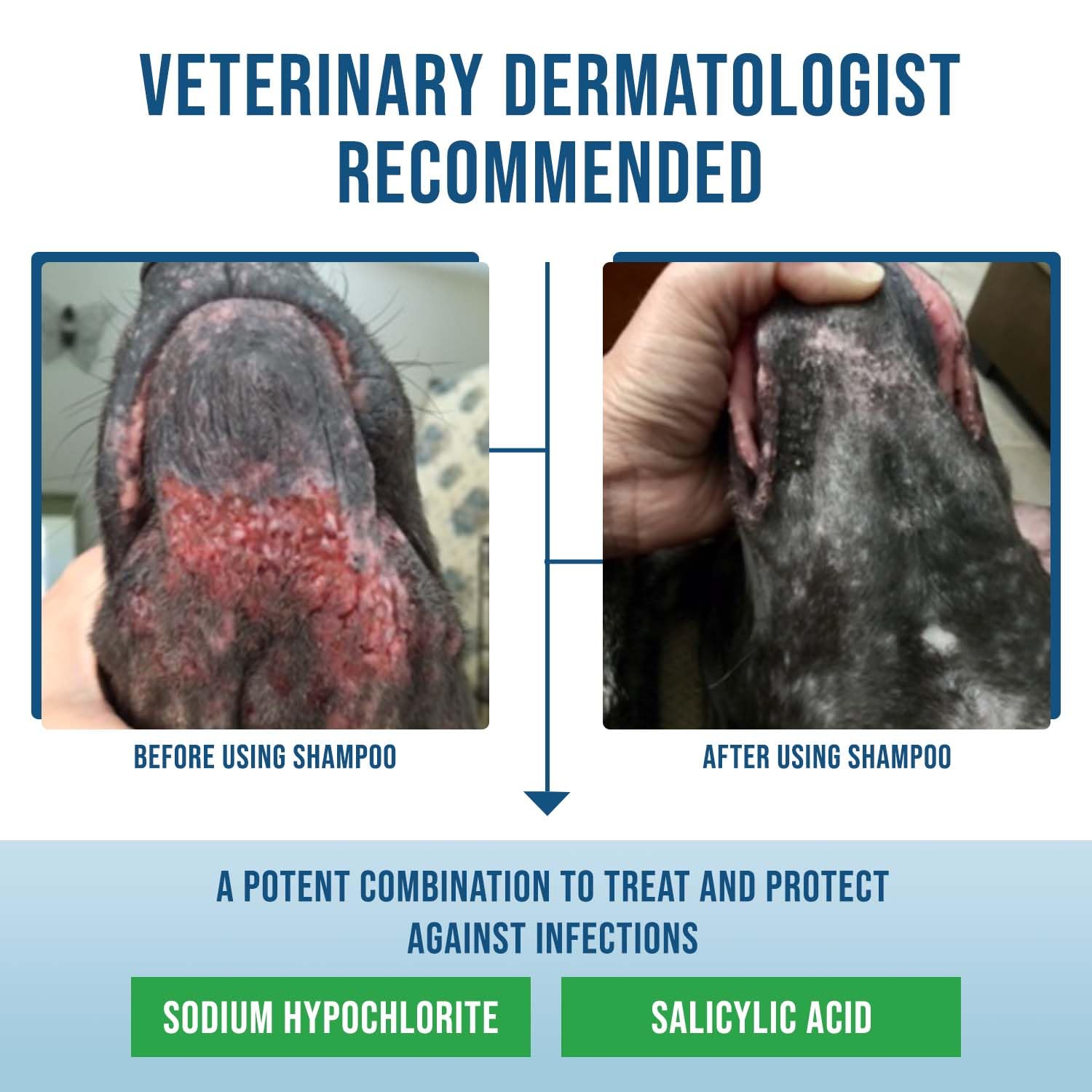 Vetrimax Command Medicated Dog Shampoo For Itchy Skin, Anti-Itch Relief For Allergies And Dry Skin, Healing Soothing Pet Care Fo