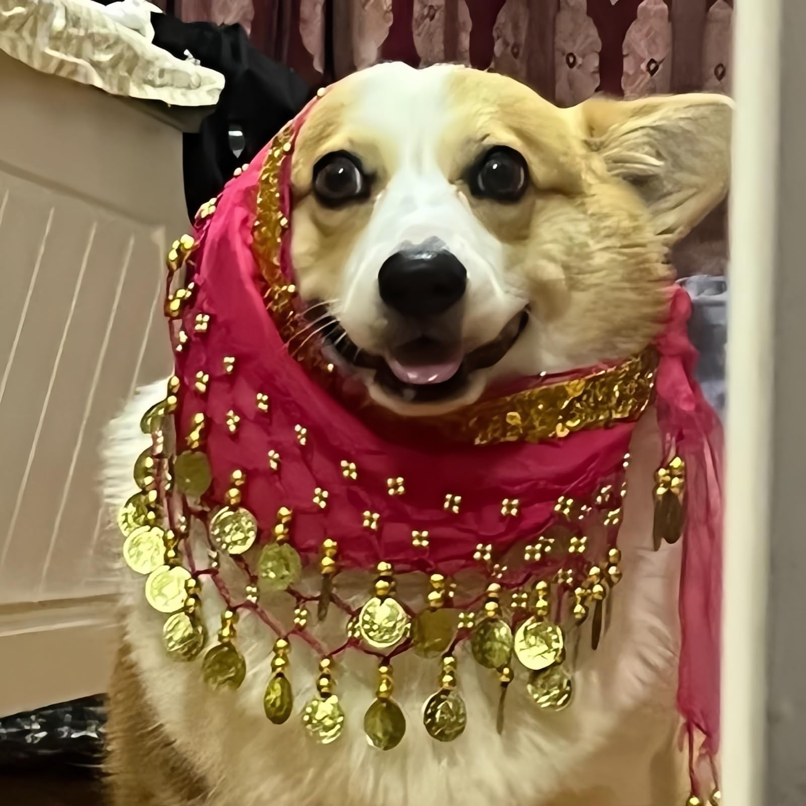 Chowone Dogs Belly Dancer Skirt, Waist Chain Hip Curtain Clothes For Corgi Dog Belly Dance Style With Sequin, Puppy Hip Shaking