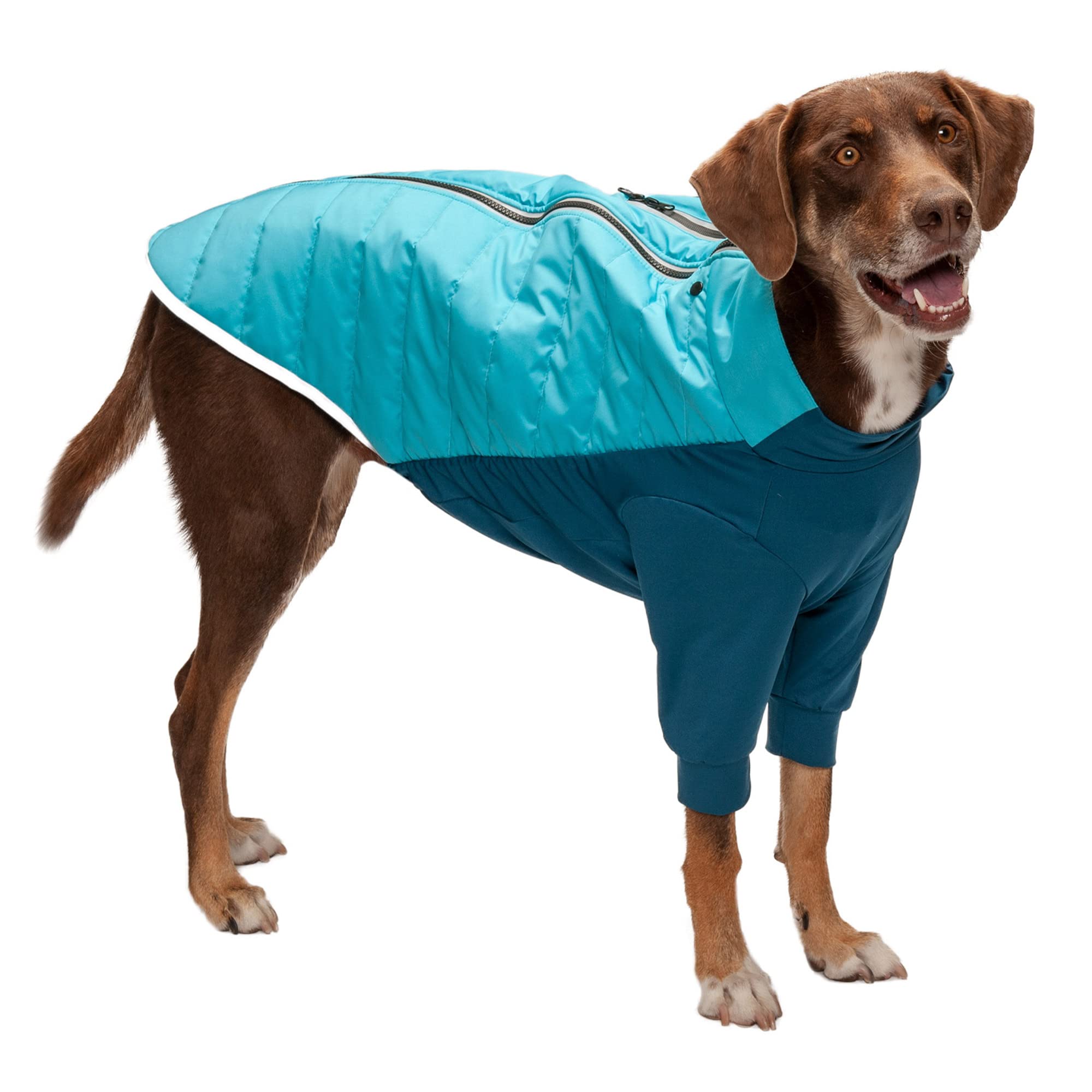 Furhaven Large Dog Coat Water-Repellent Pro-Fit Active Jacket, Washable - Aquamarine, Large