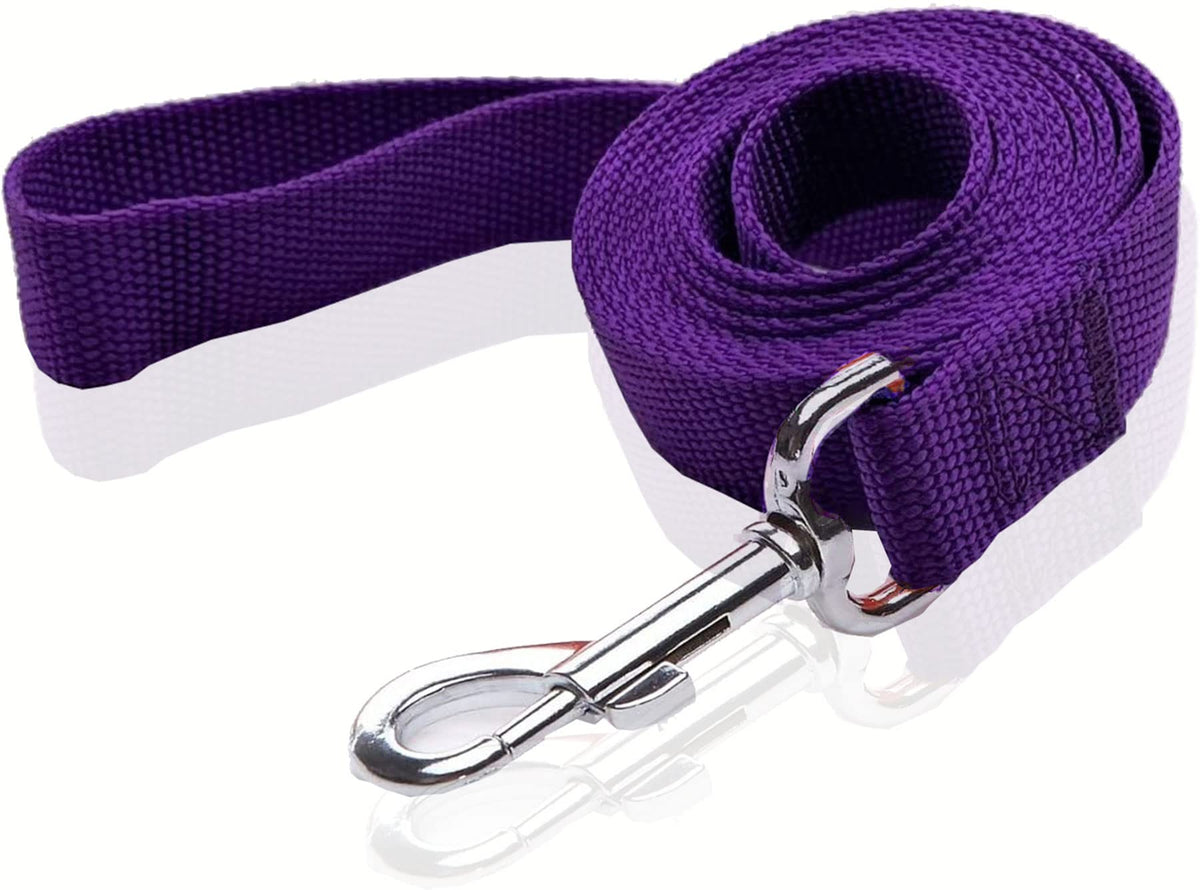 Nylon Dog Leash 8 Feet Long, Walking Training Dog Leashes For Medium Large Dogs(1'' X 8 Ft, Purple)