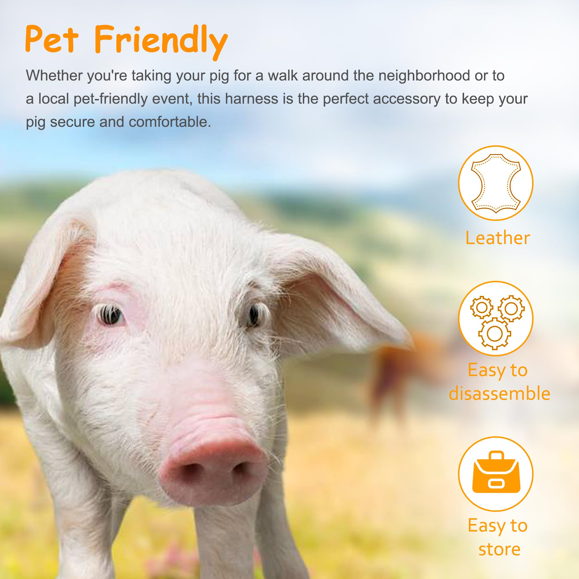 Drunhan Mini Pig Harness & Leather, Pet Pig Supplies, Adjustable Rope (9 Inches Long -1/2 Inches Diameter), Suitable For Small A