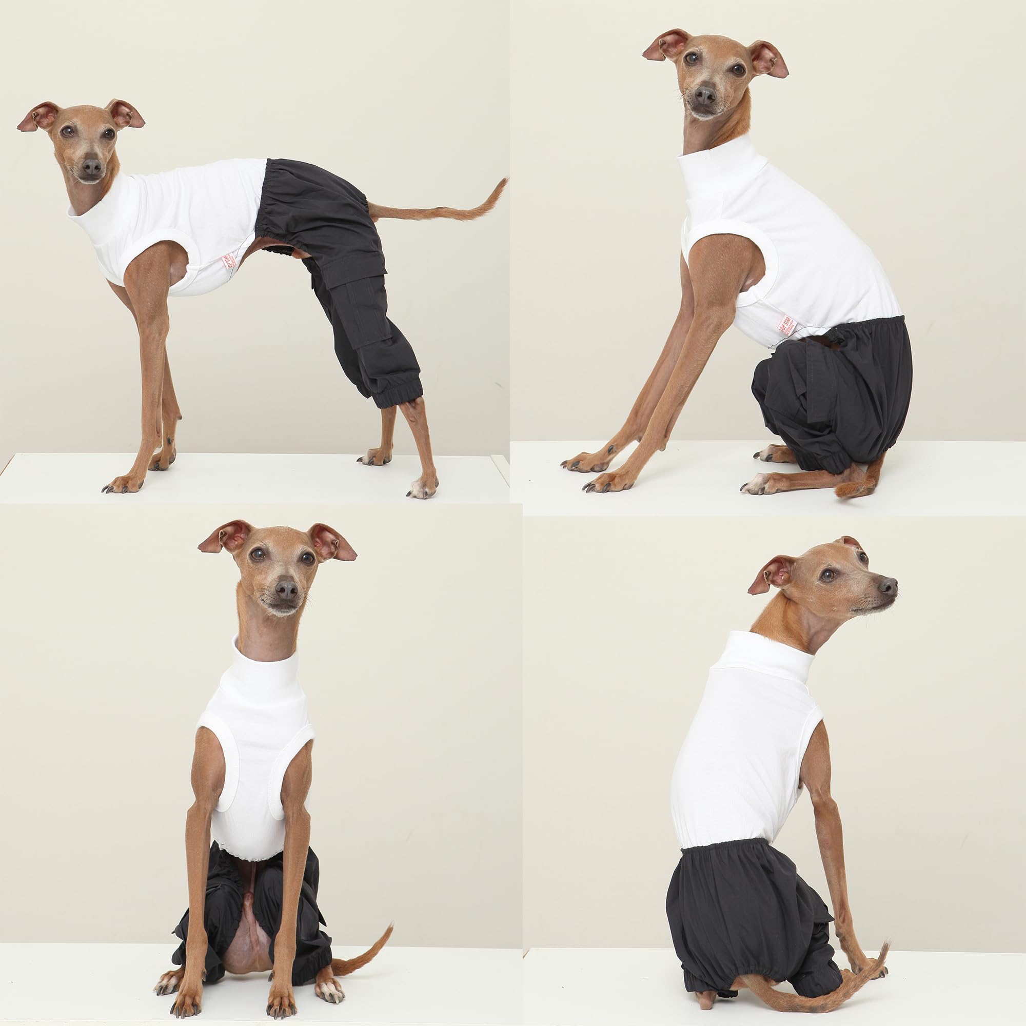 D Doggy Star Italian Greyhound Clothes Cargo Pants Onesie Outfit Whippet For Dog Coat (2Xl,Navy Cargo)